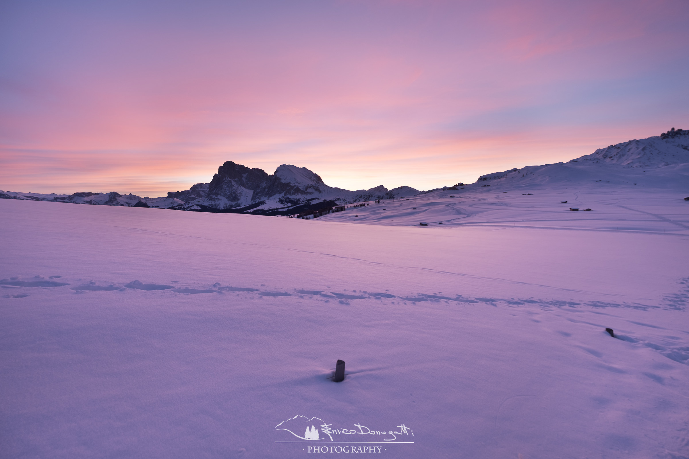 Pink Light ... Sassolungo's group Aurora