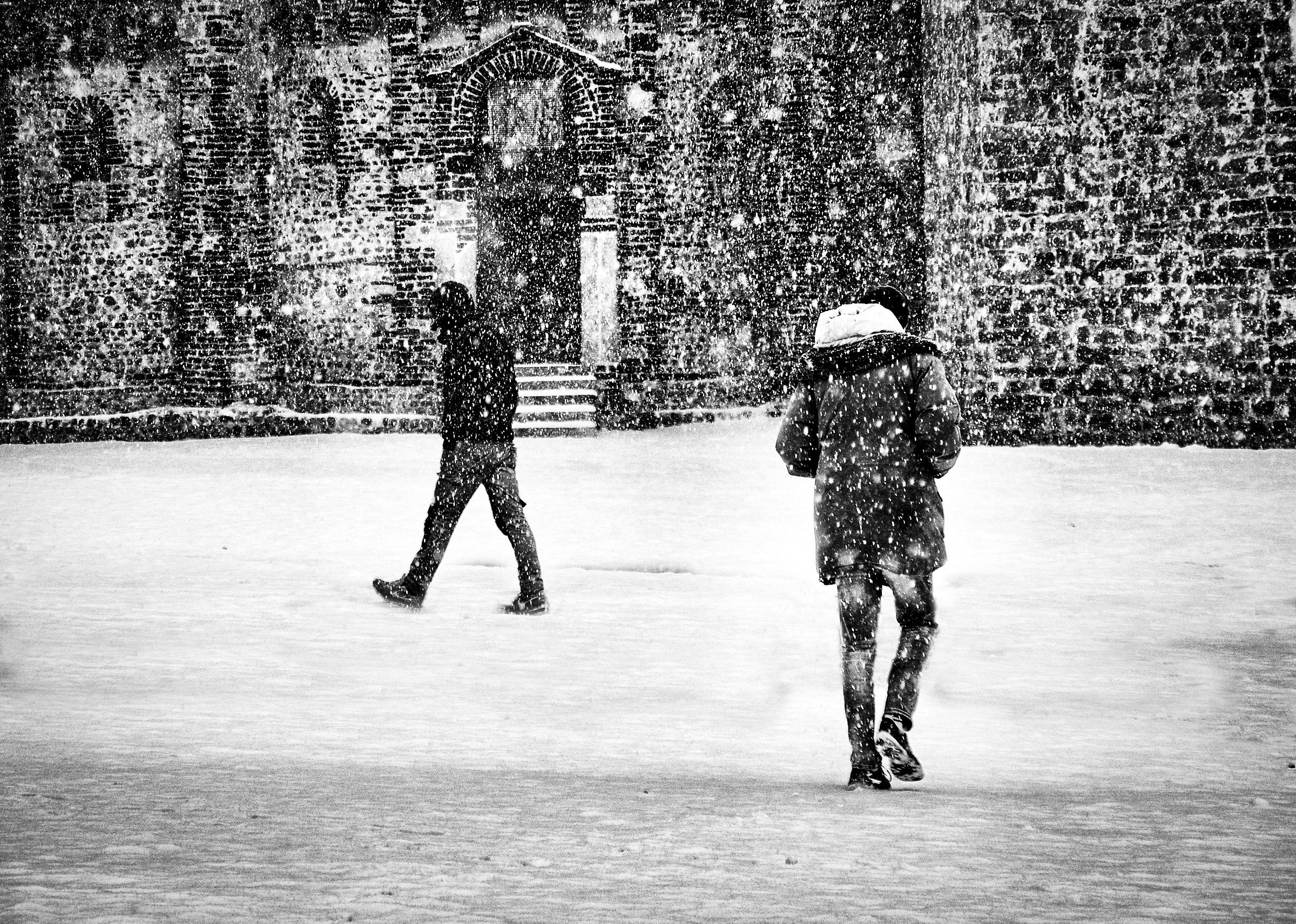 Four steps in winter (2)