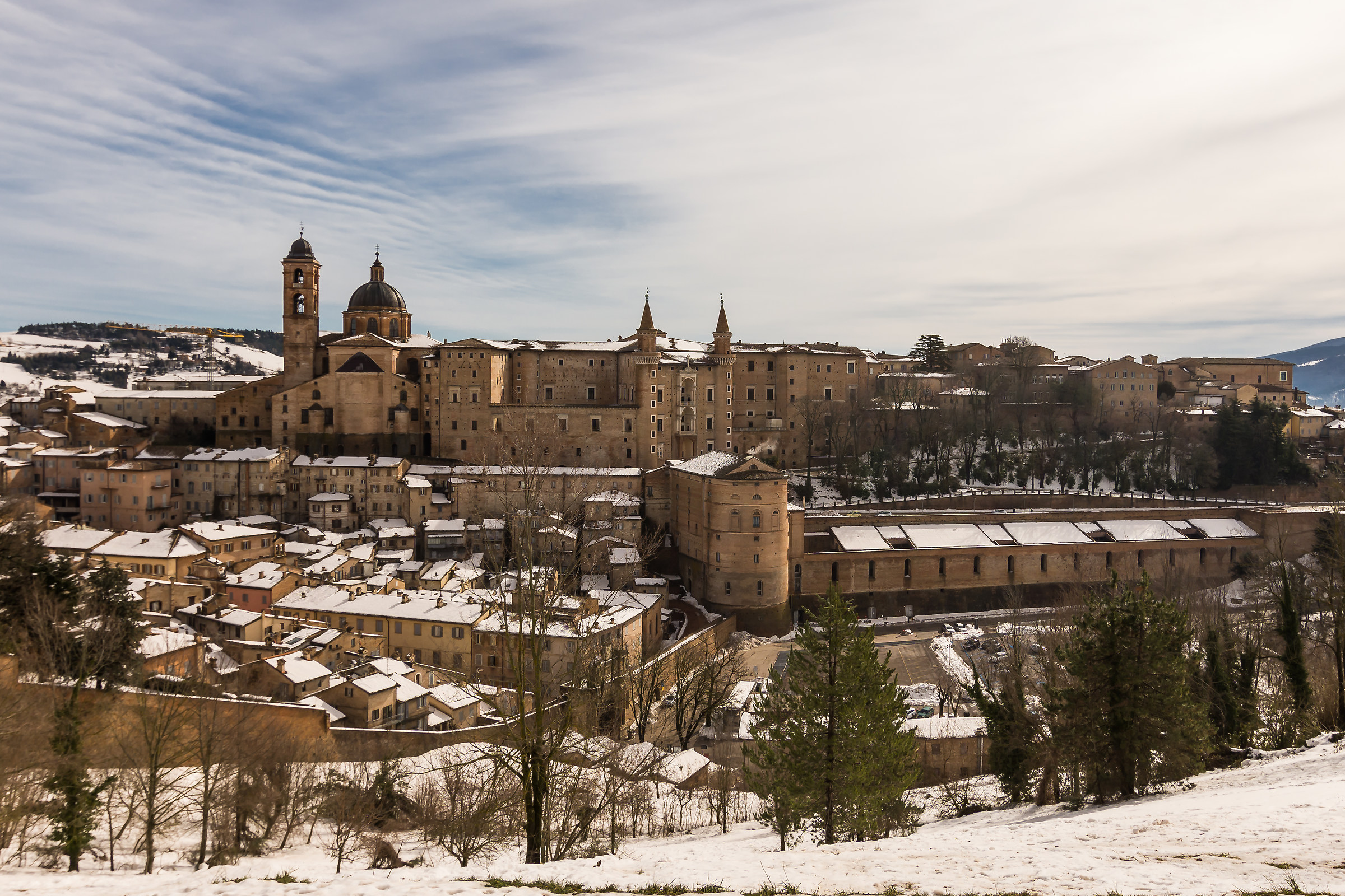 Urbino