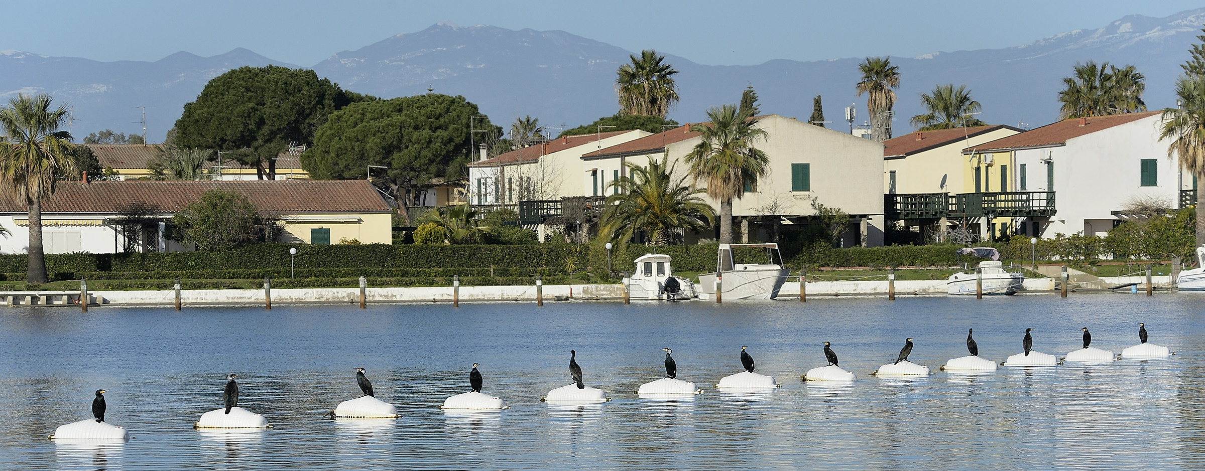 Distanziamento sociale