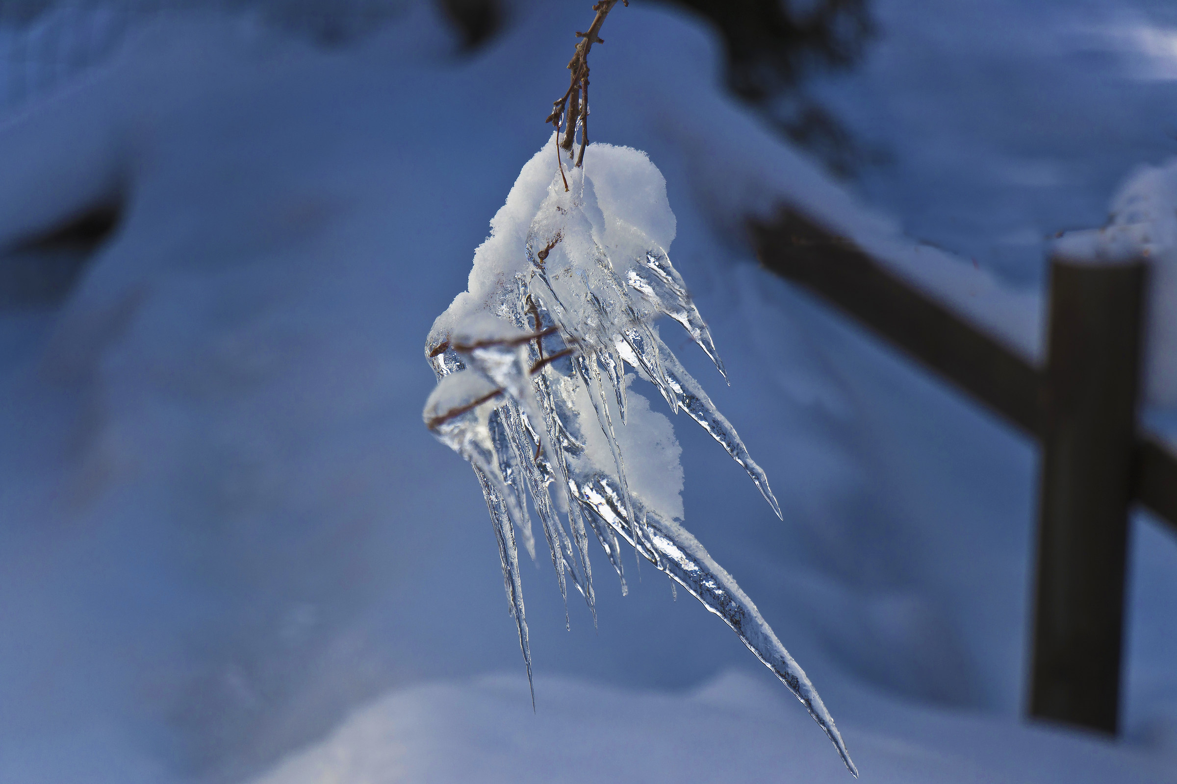 il ghiaccio sopraffatore