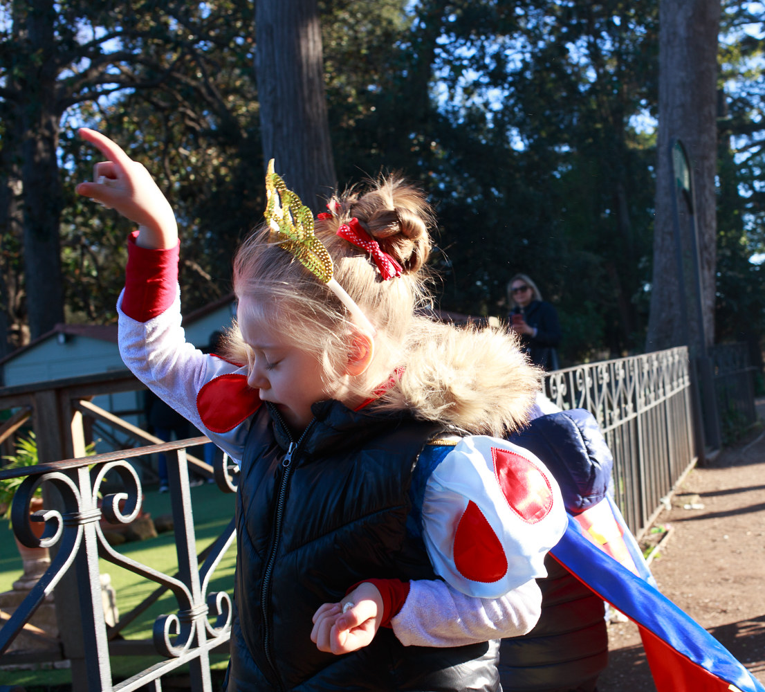 Dreaming of the wonderland