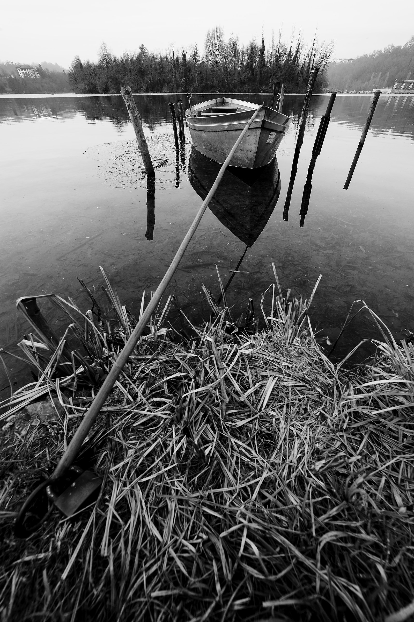 sospesa su un riflesso