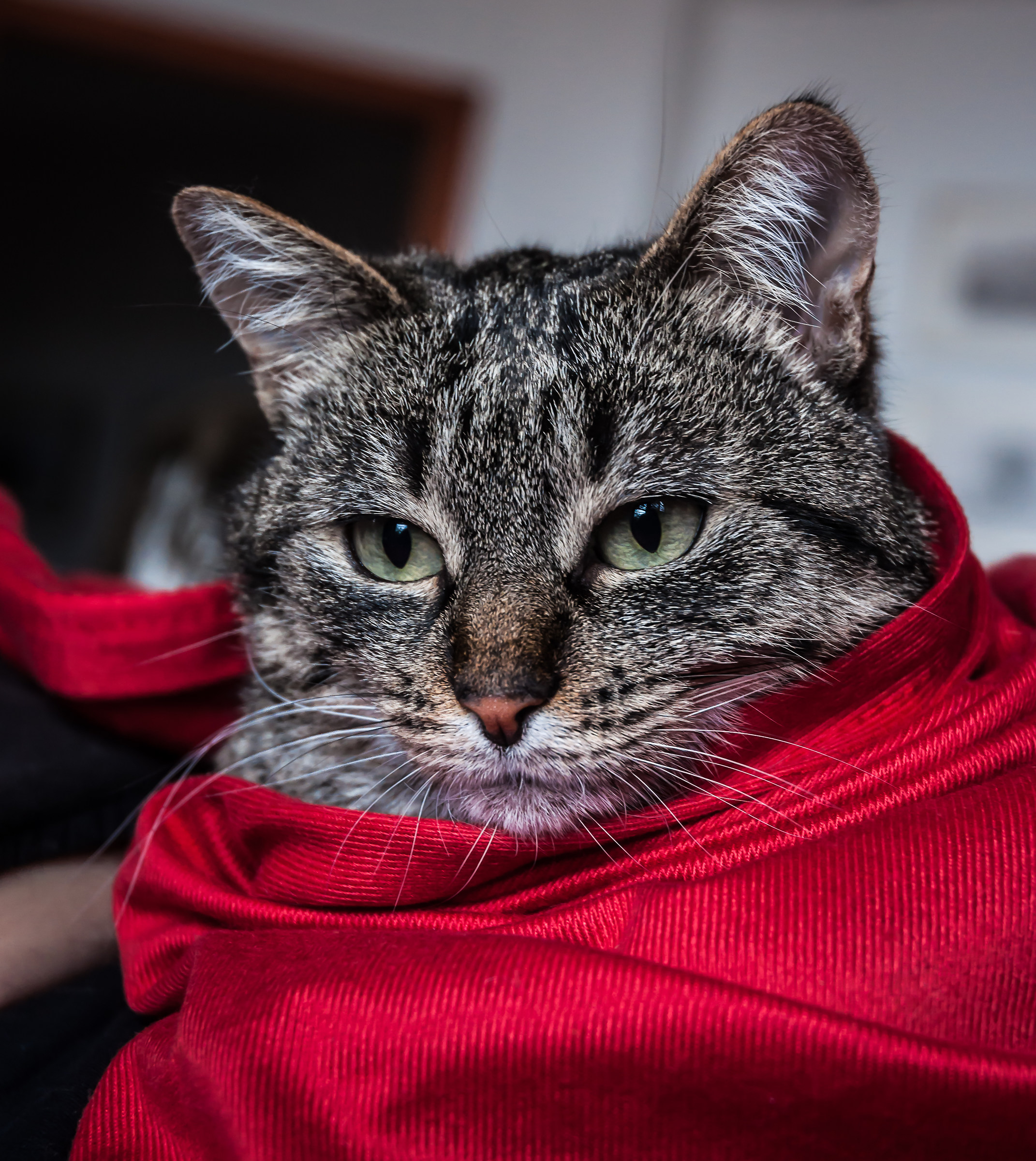 Well girl ... let's not exaggerate ...