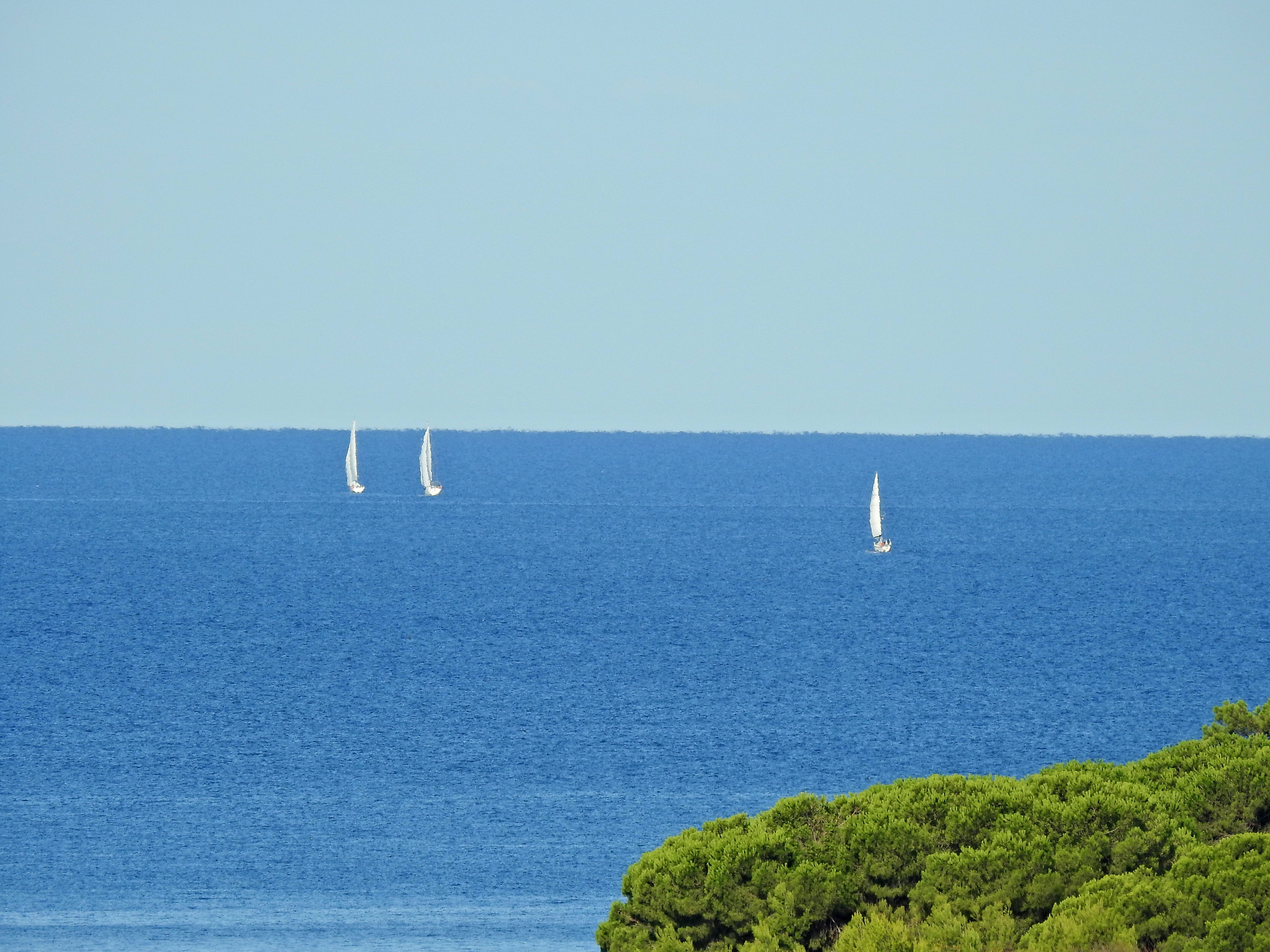 sails on the sea