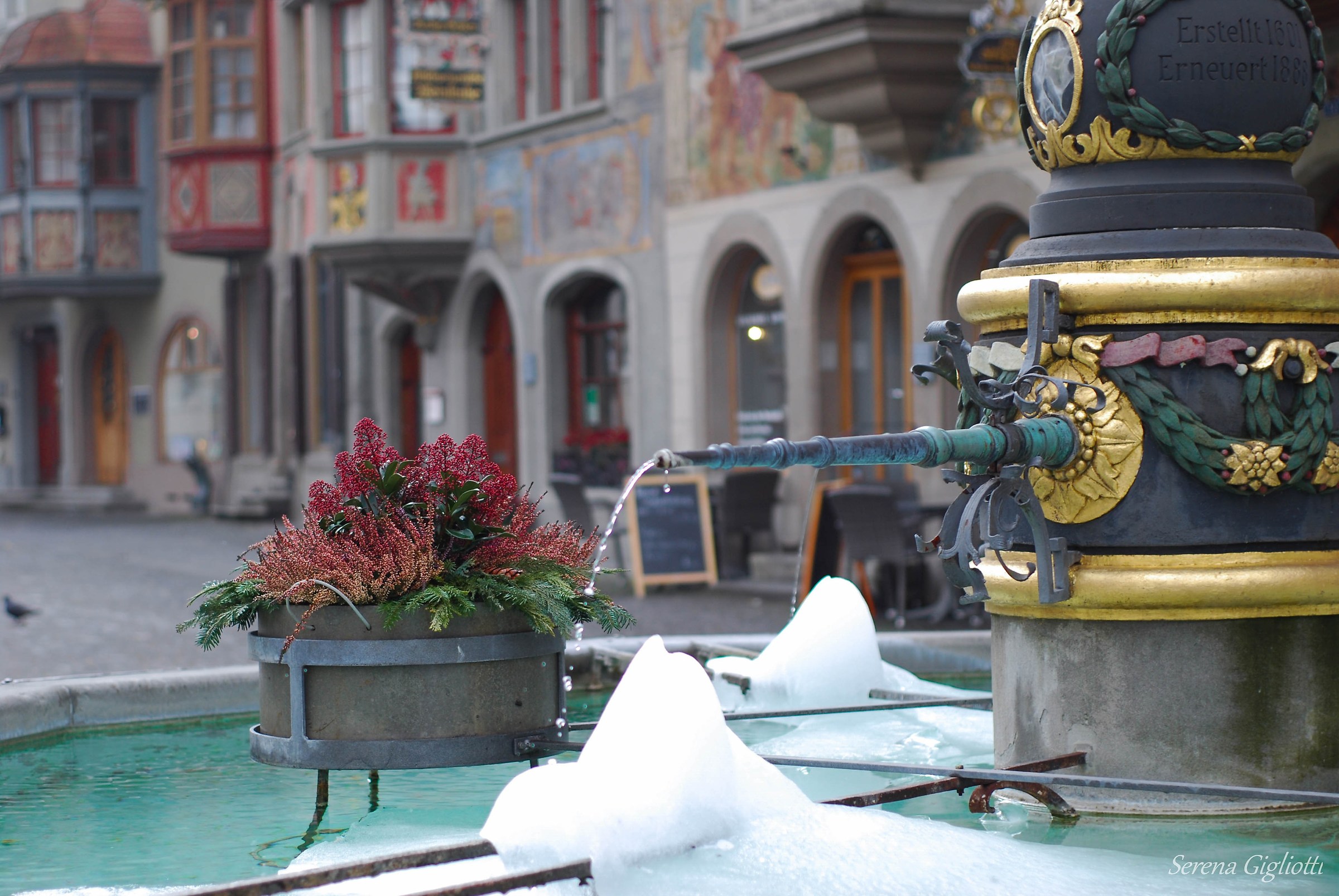 Swiss Fountain - Rhein am Stein (ch)