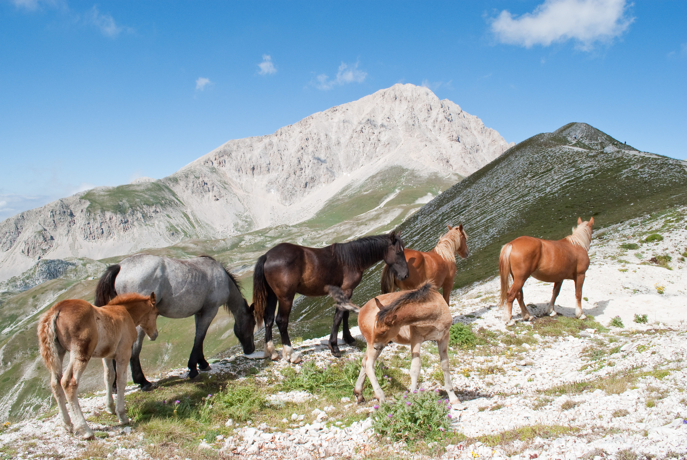 Under the Gran Sasso