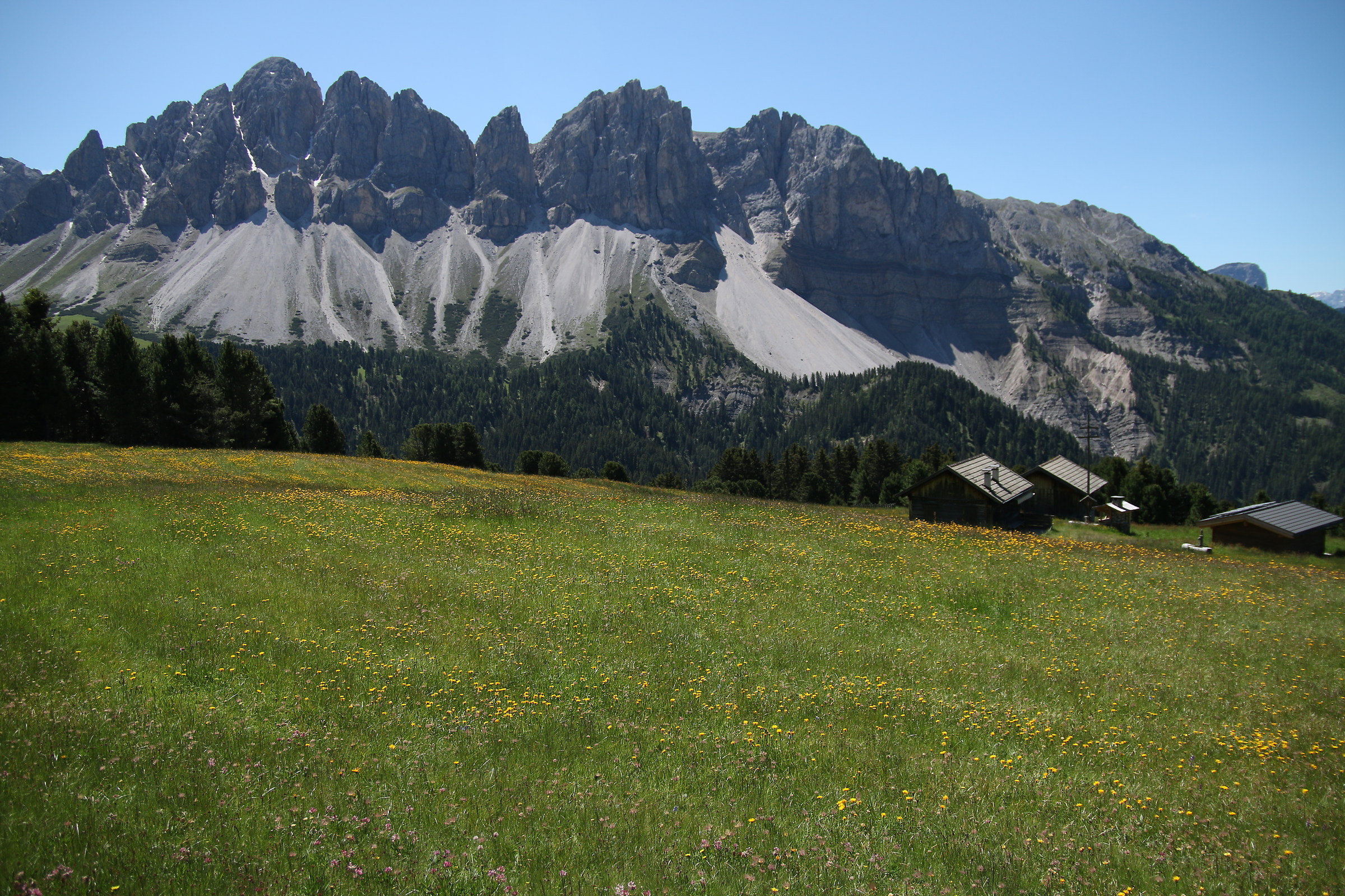 Plose Malghe monte Forchetta