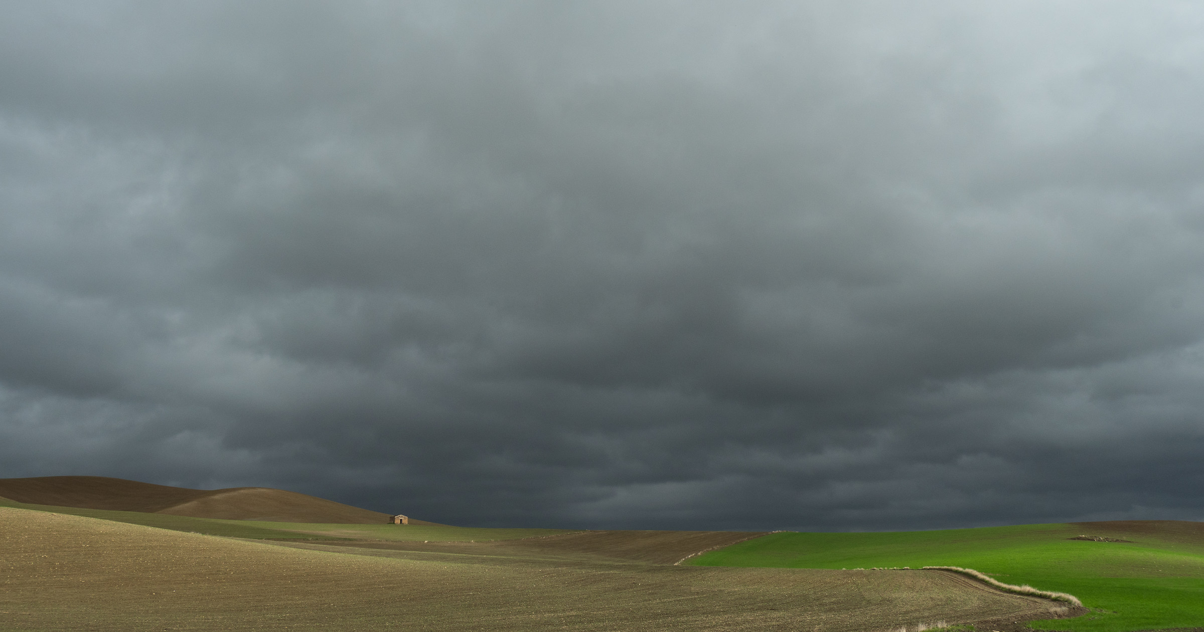 from the parts of Dittaino, center of Sicily
