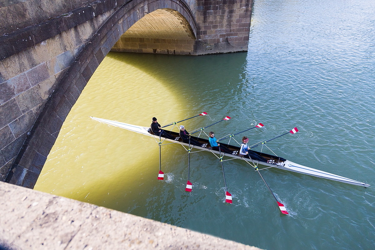 Rowers in the river Arno