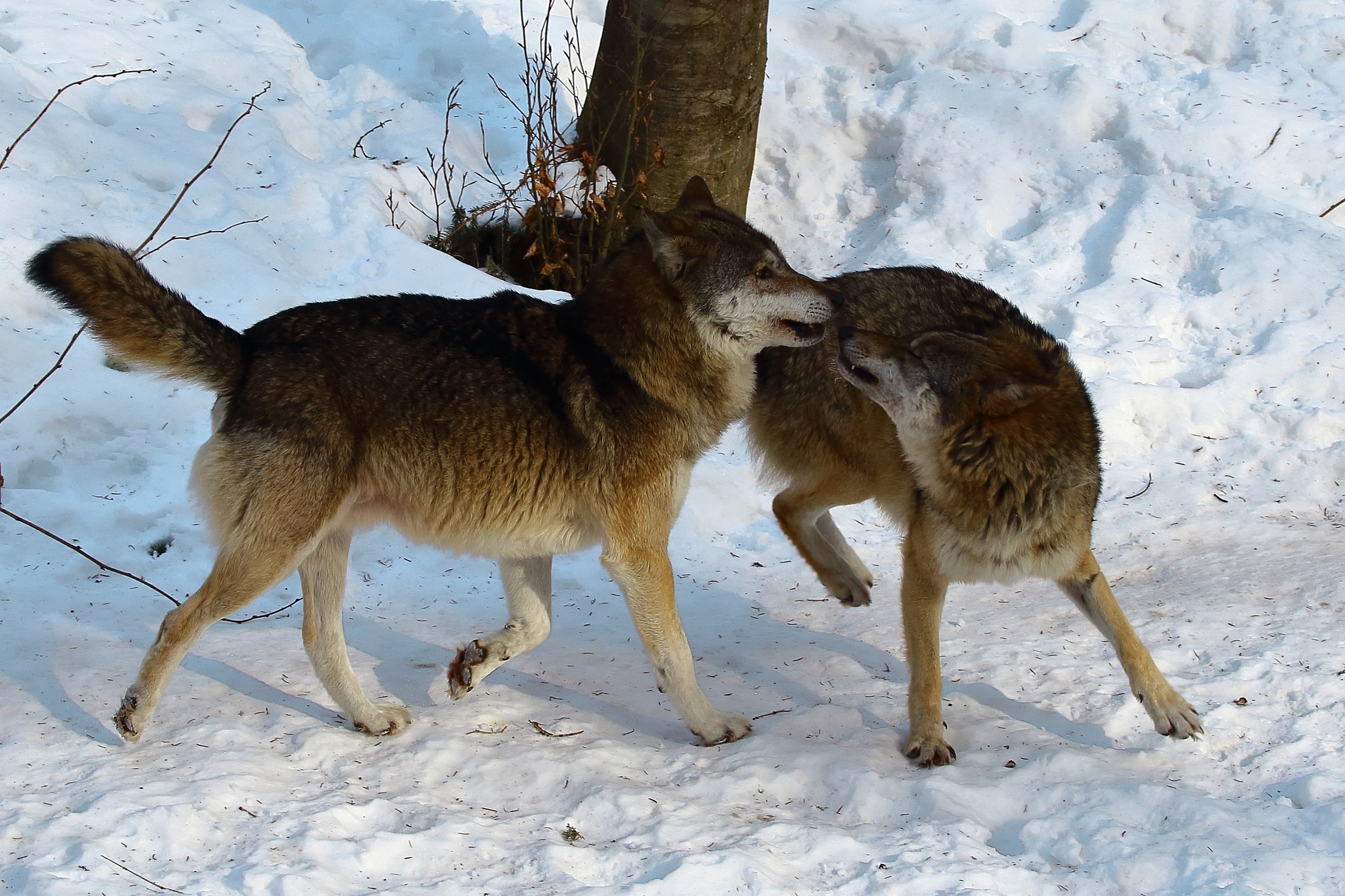 Non mi piaci tanto..