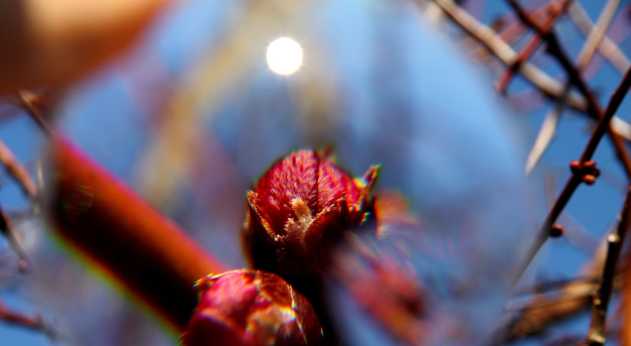 .. looking for the sun