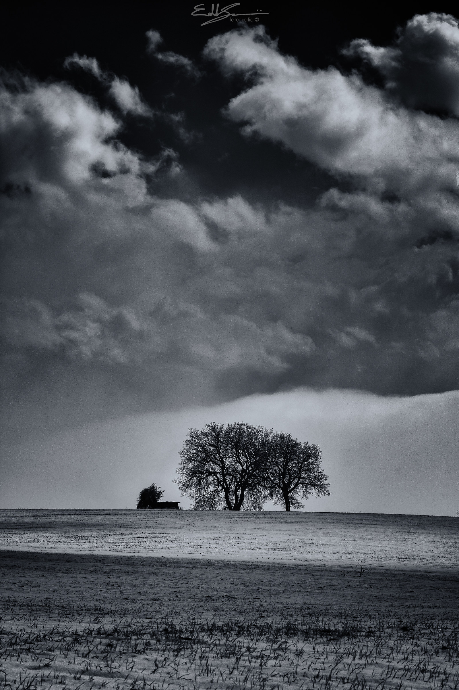 snowy hills in Macerata