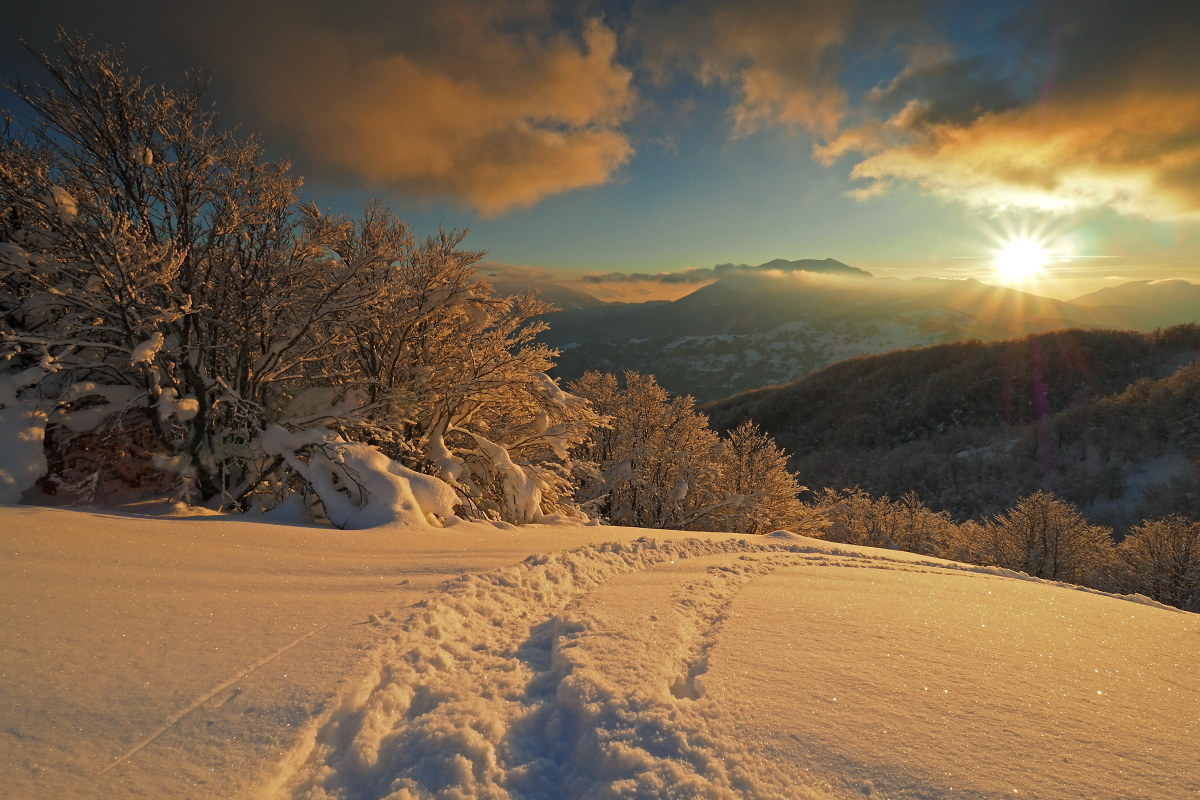 The trace of happiness