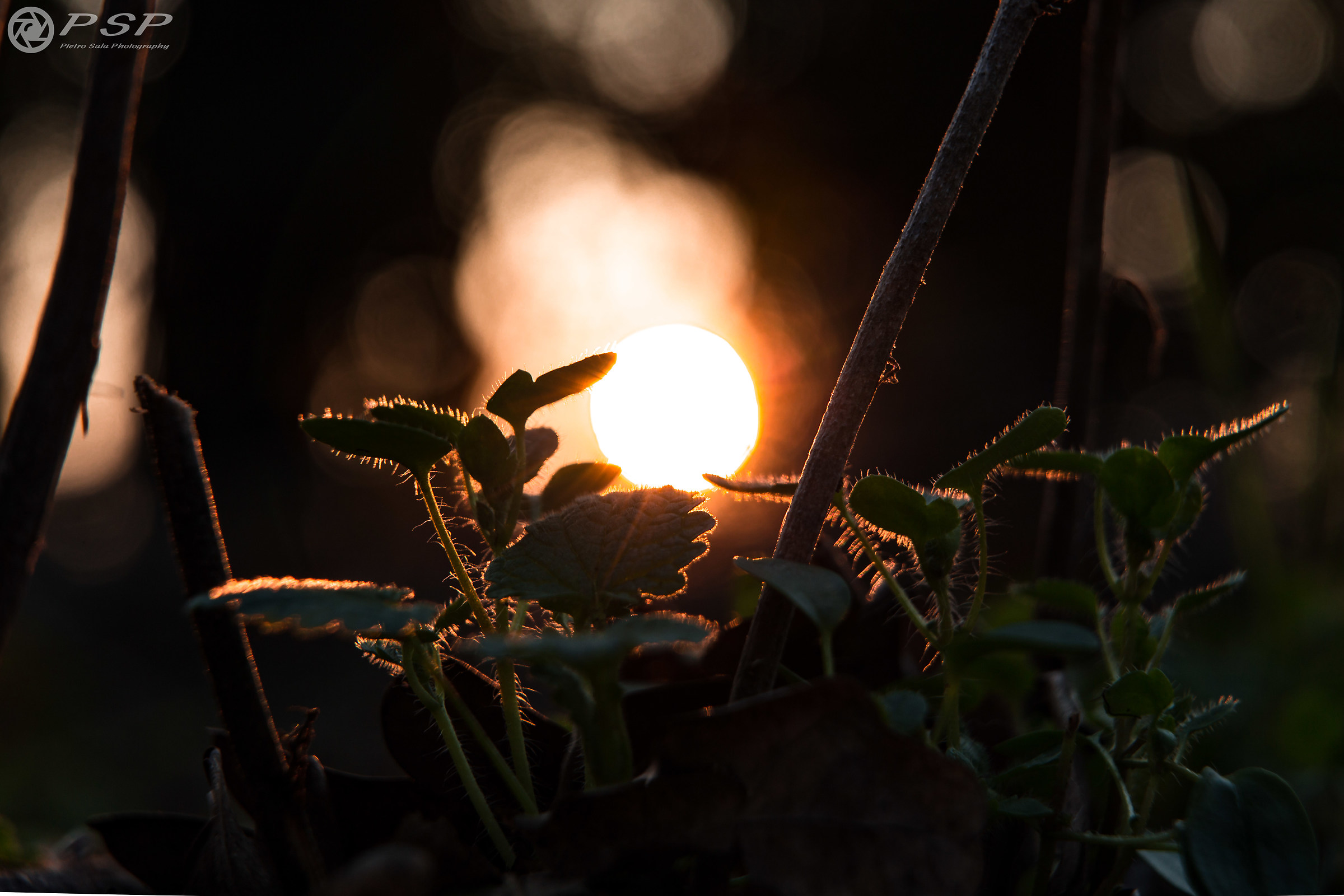 And behind them, the sun went down