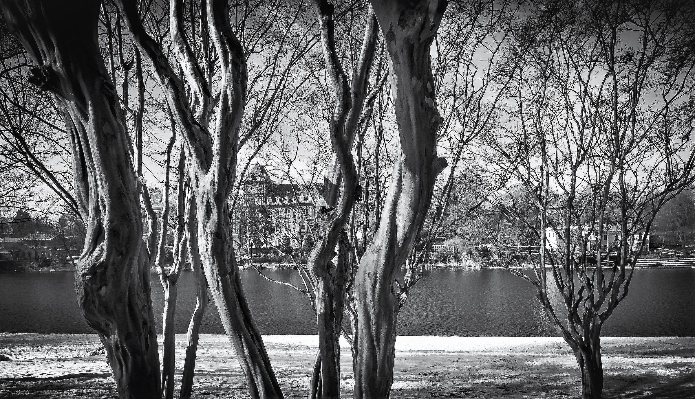 un "Po" di bianco e nero.......