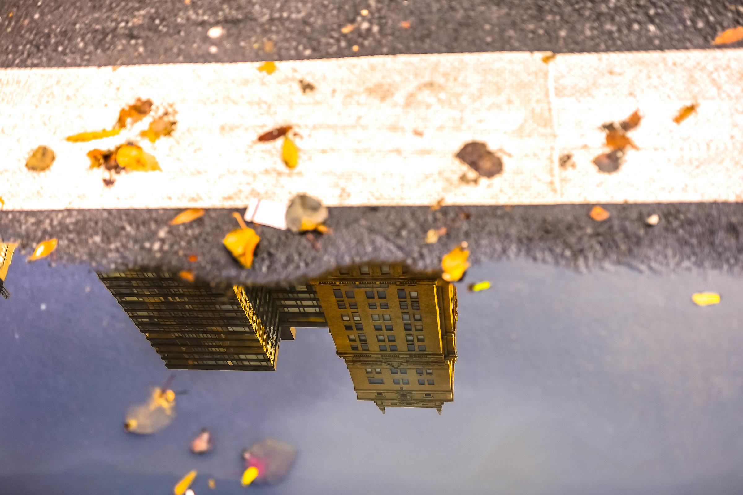 A reflection of a reflection