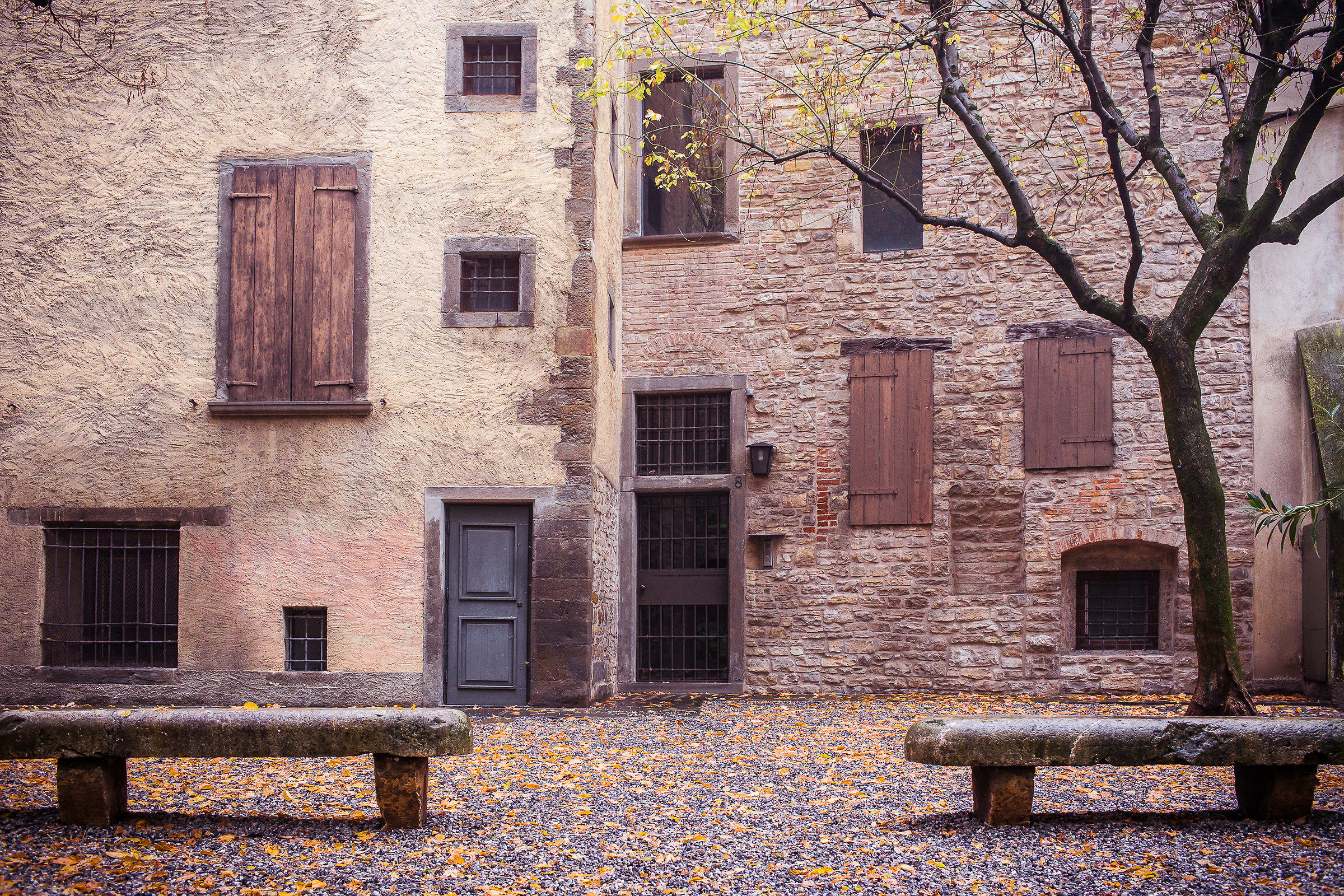 in two they keep each other company