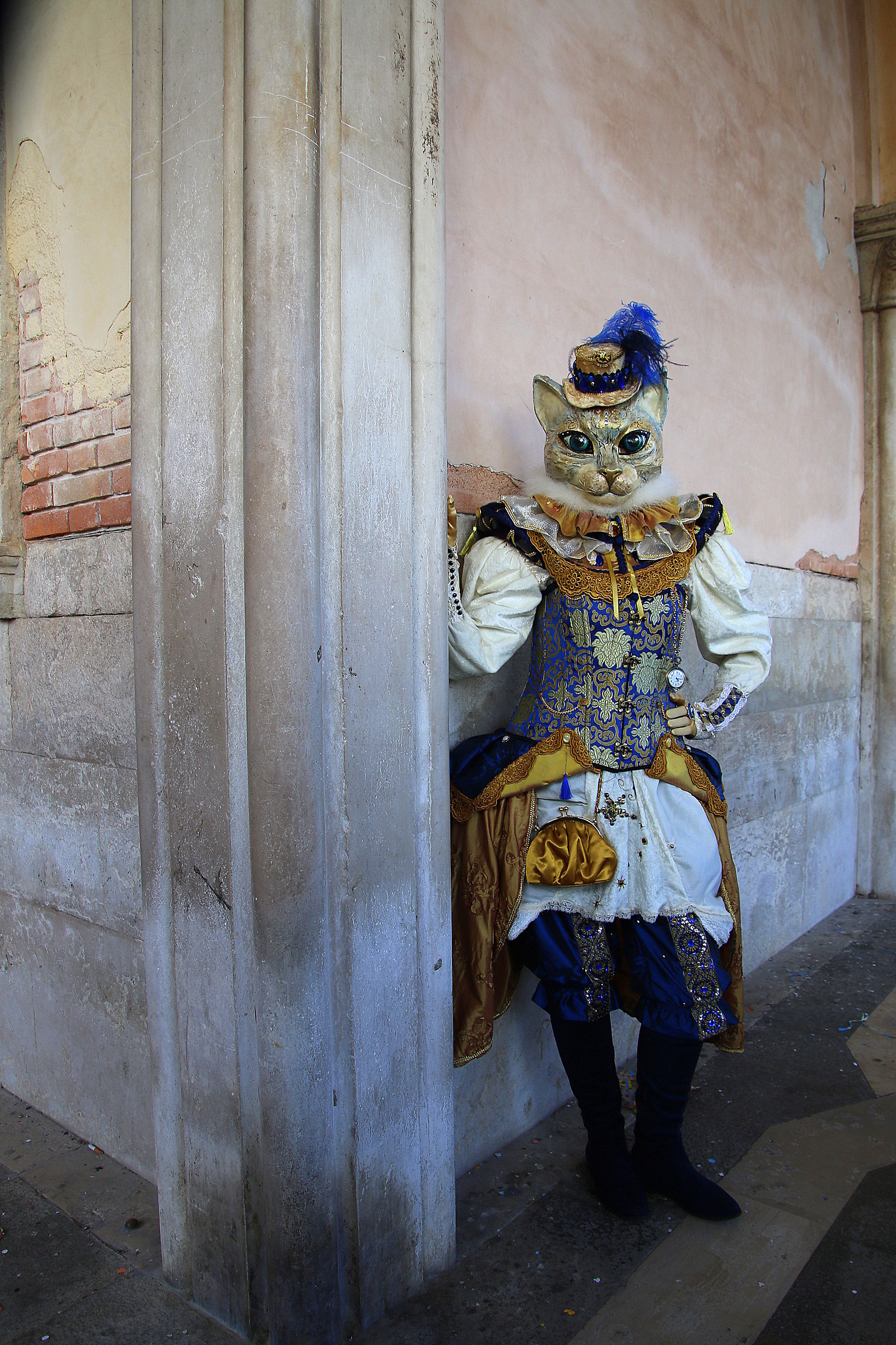 The cat with the boots