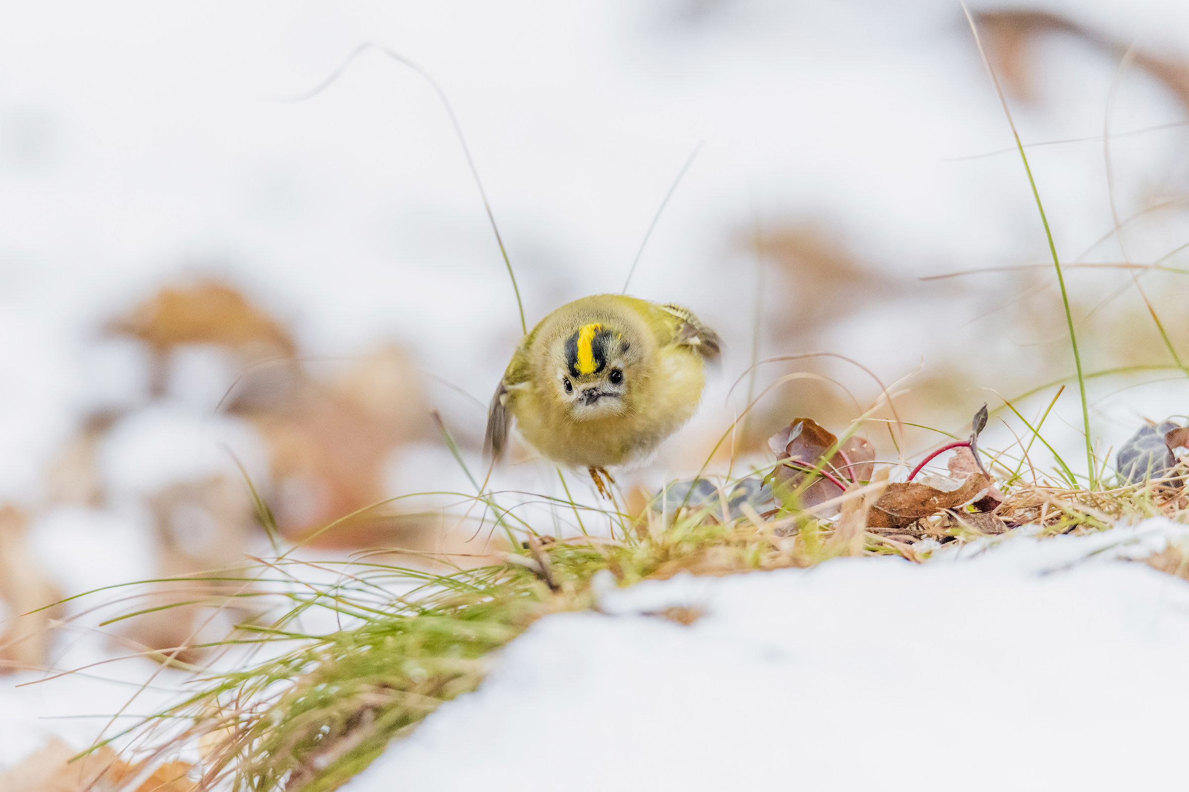 everything in order!