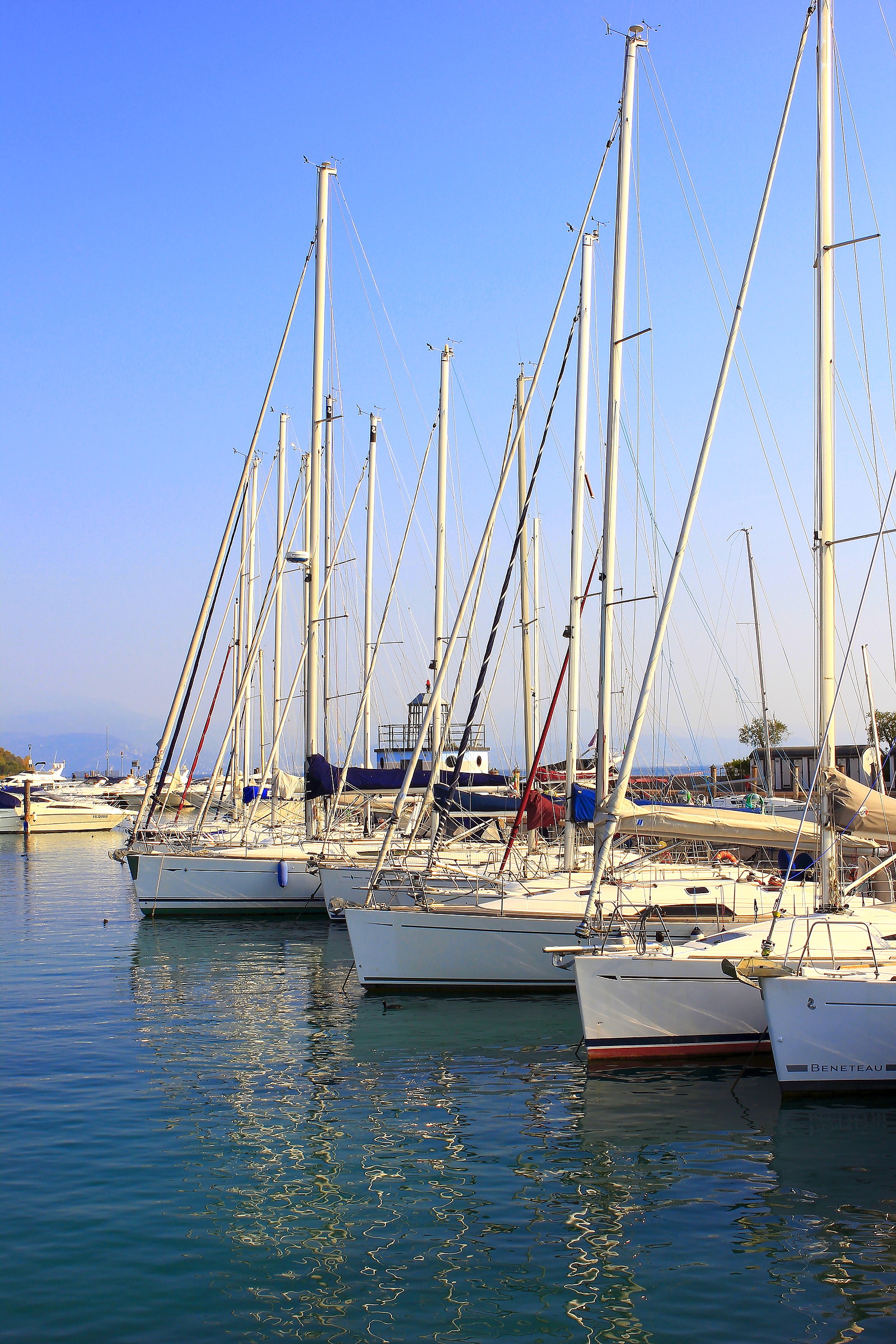 ready for the regatta