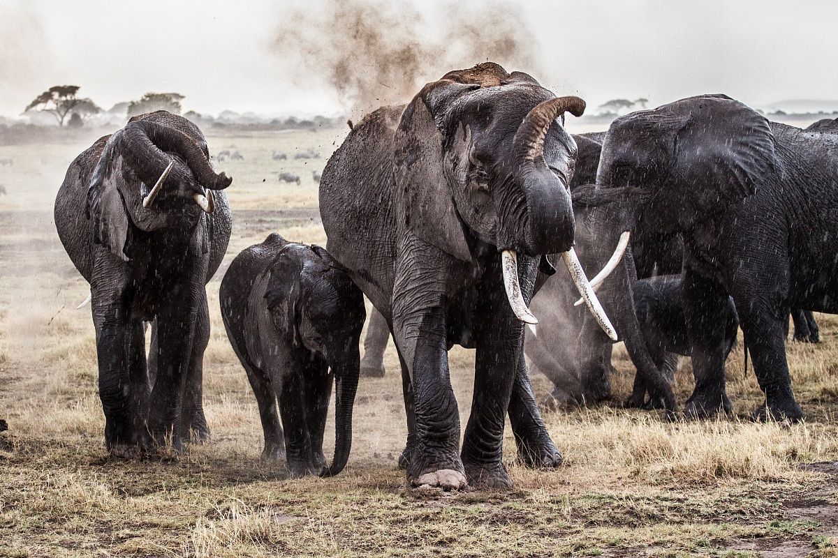 Accarezzati dalle gocce