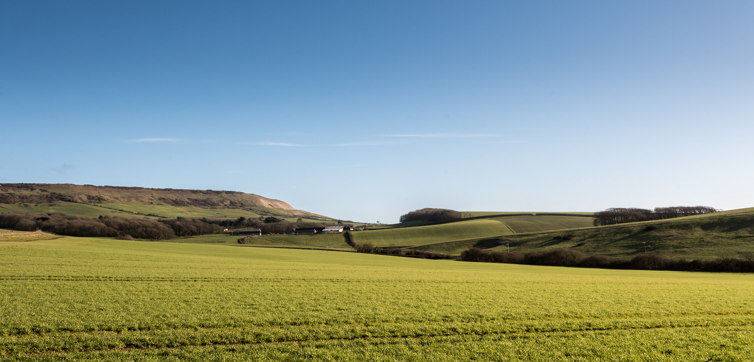 Quando The Sun Shone