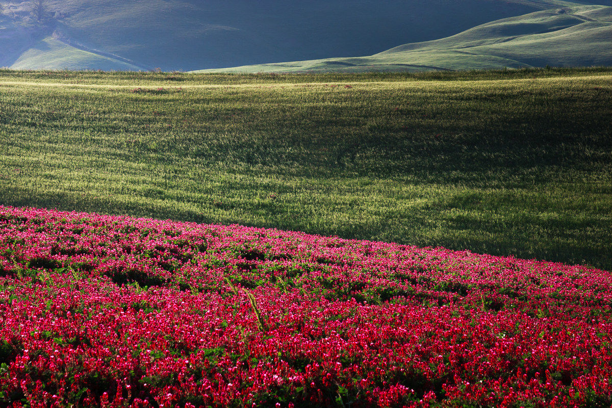 Waiting for new colors ...