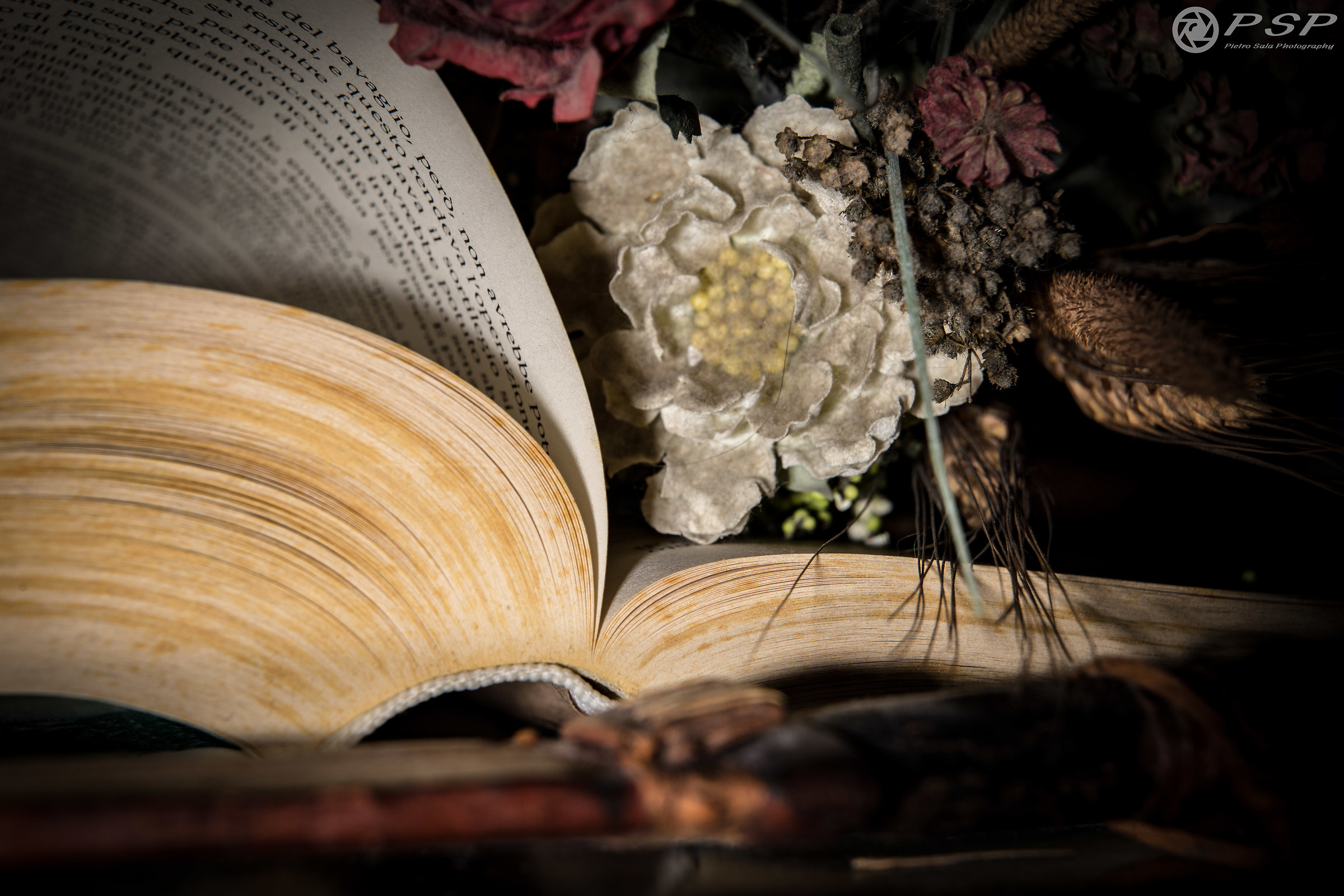 The immortal pastime