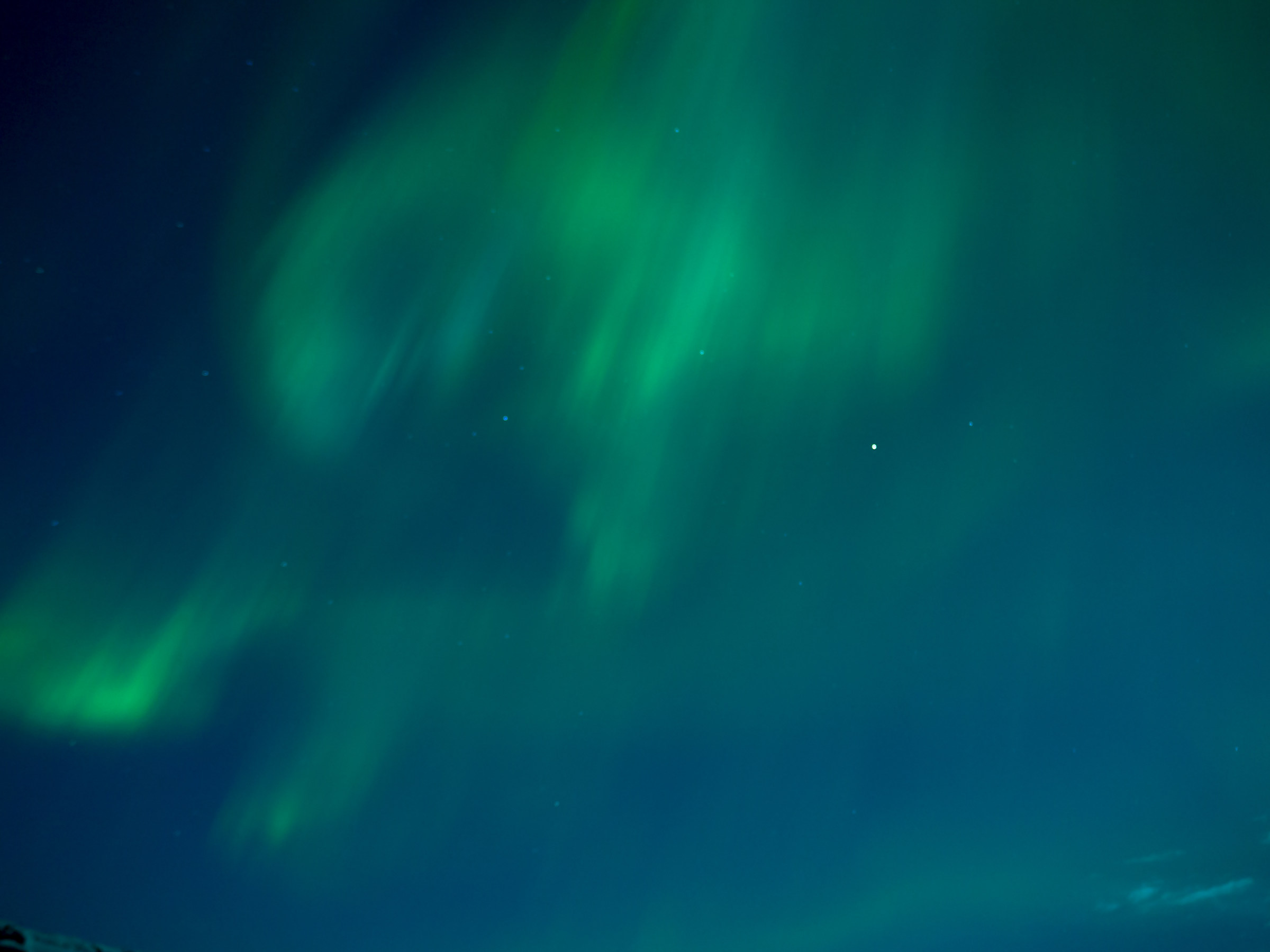 A dance that is all for us