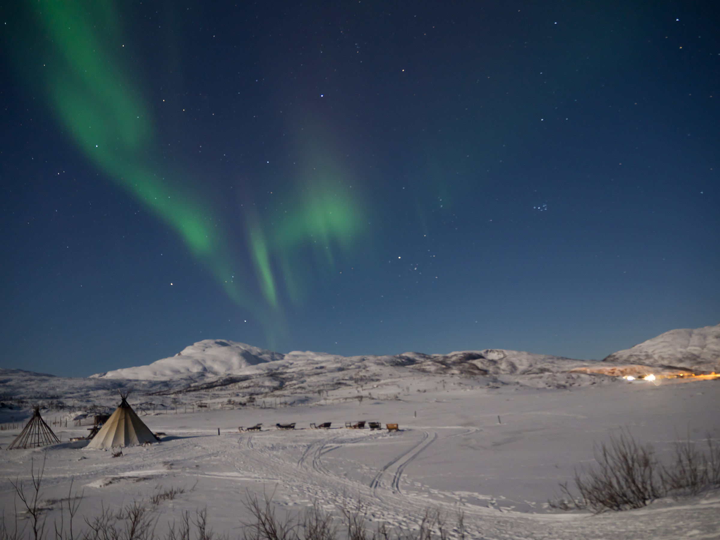 The queen of the northern nights