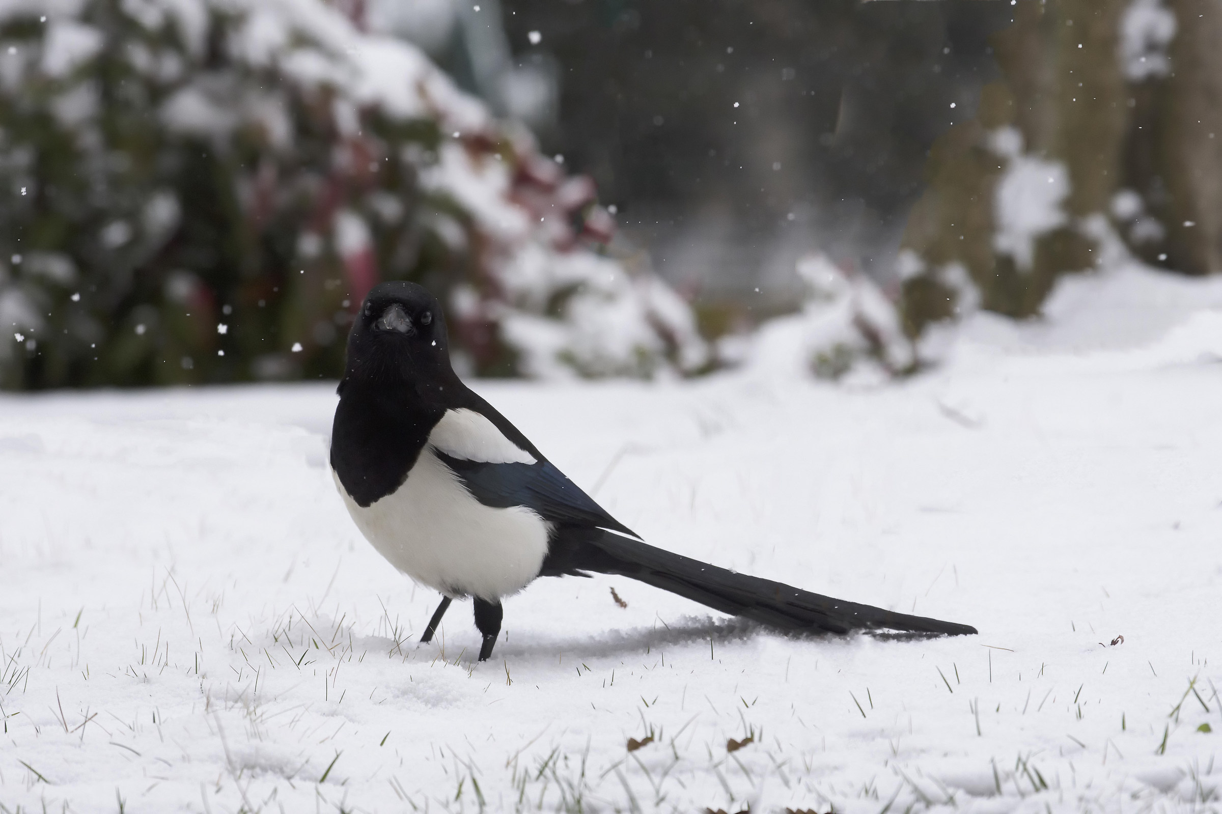 Today it is hard ....