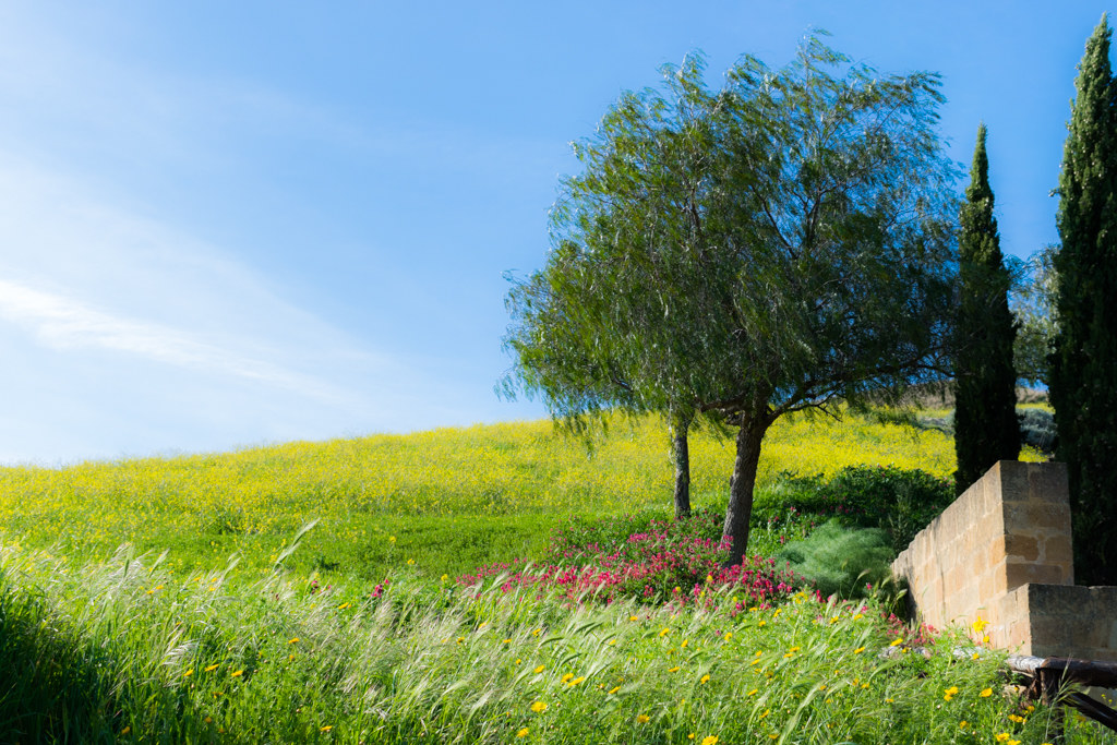 Oil painting on canvas