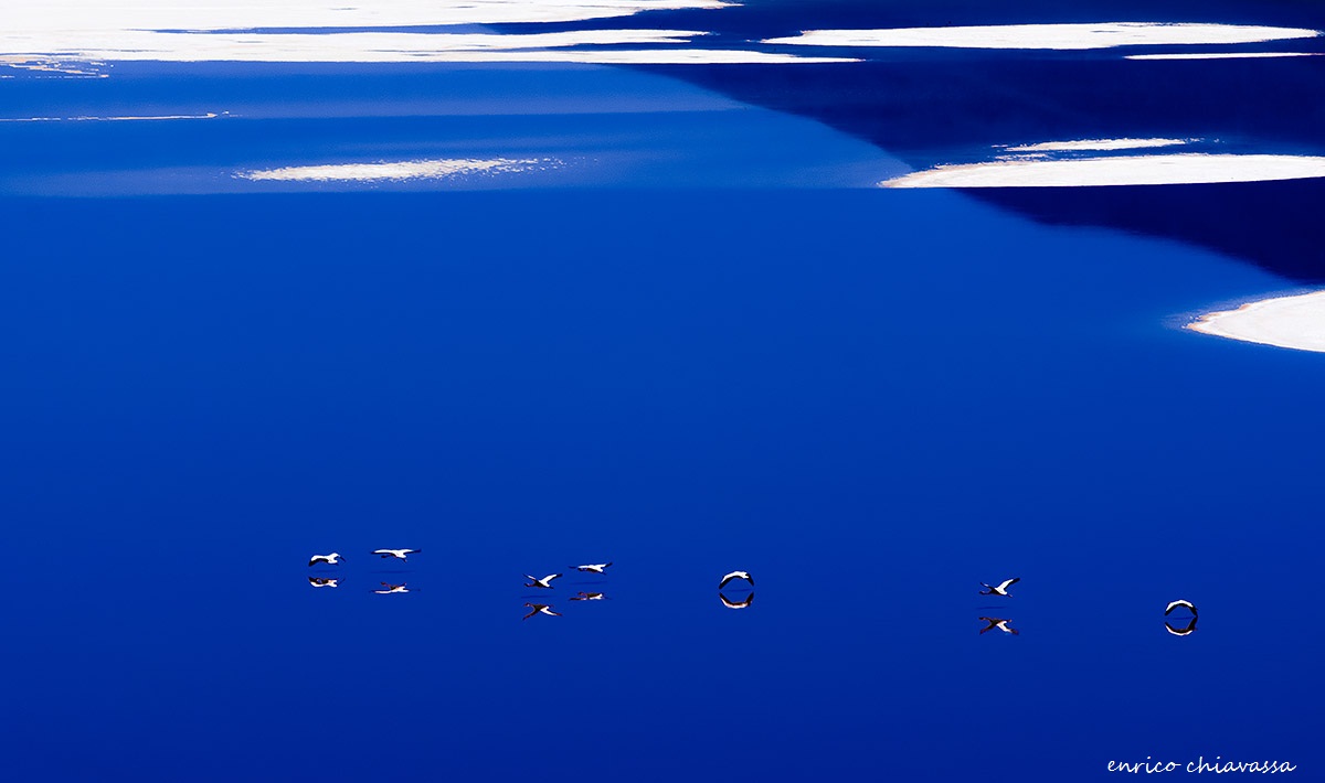 volare...nel blu...dipinto di blu