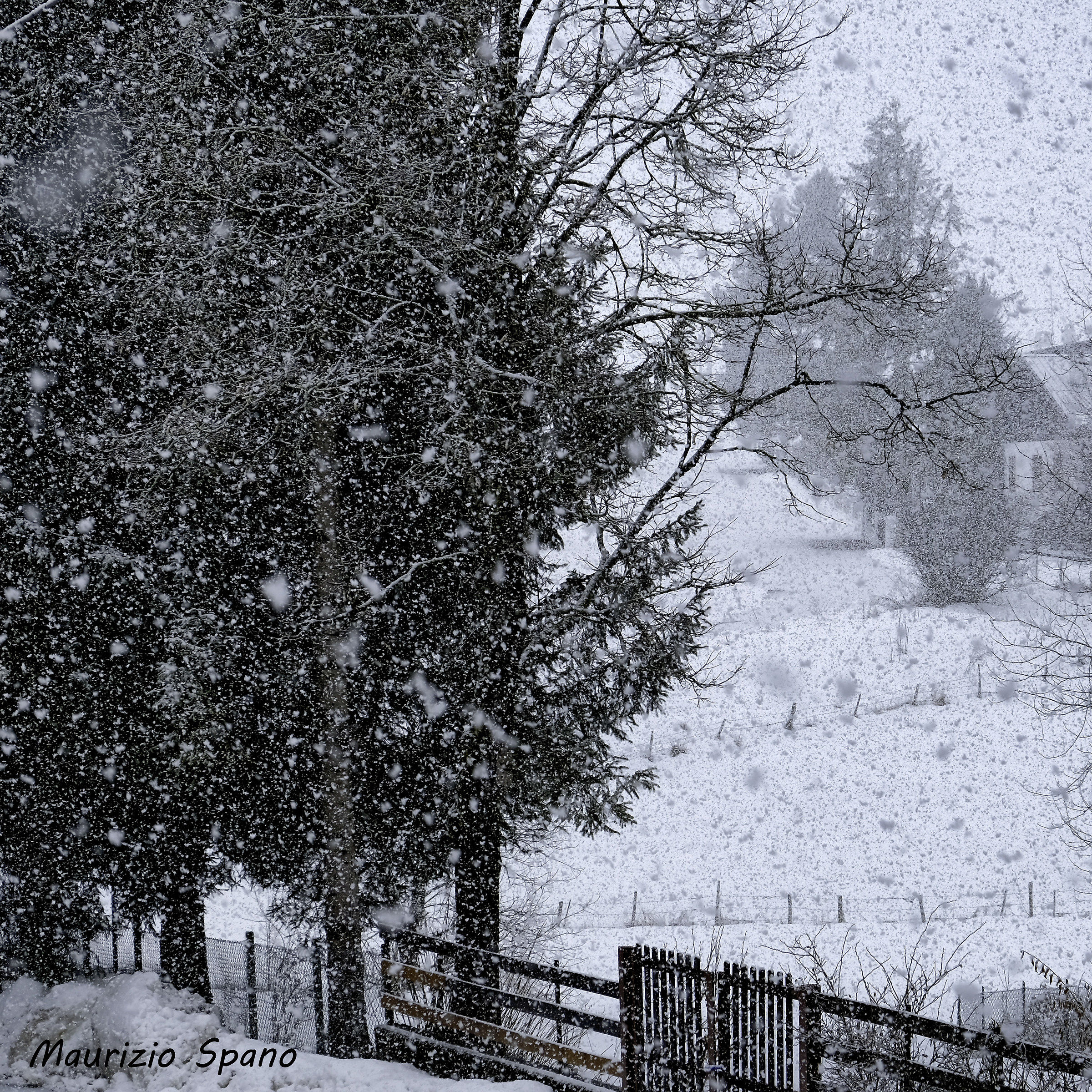 Nevica, nevica sempre...