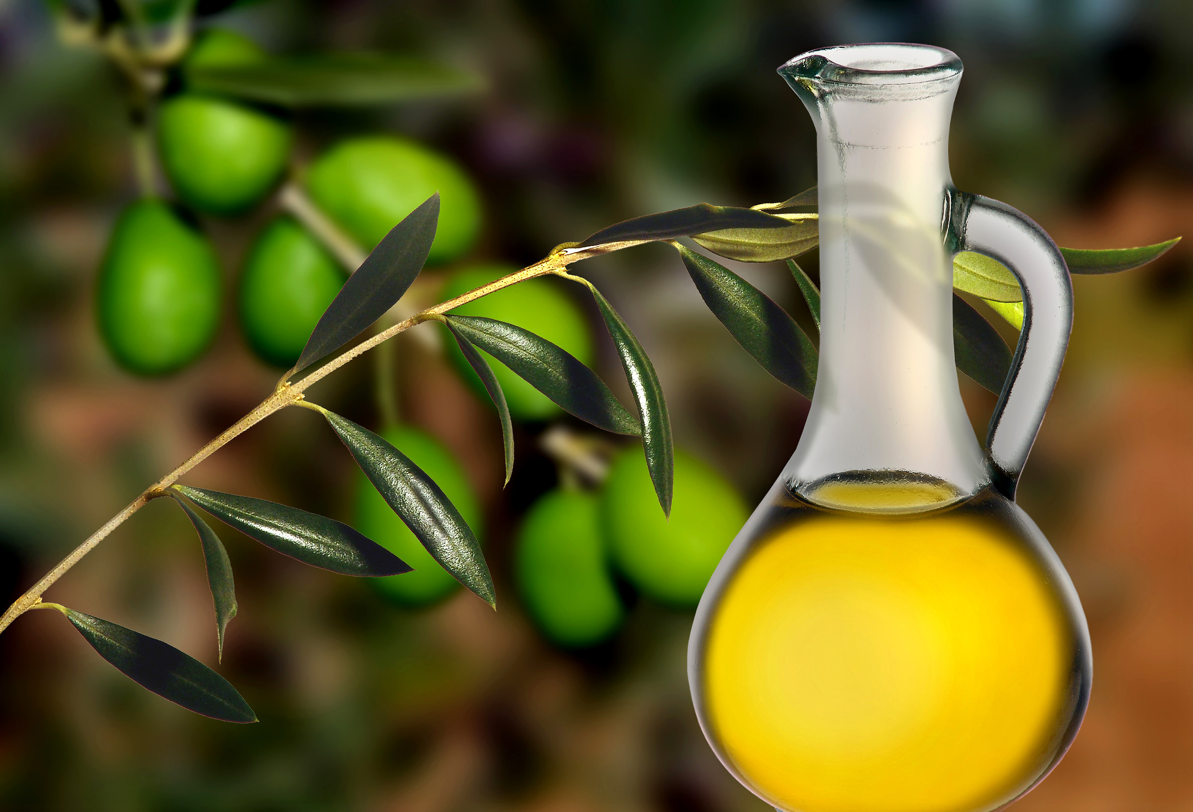 Olive Oil