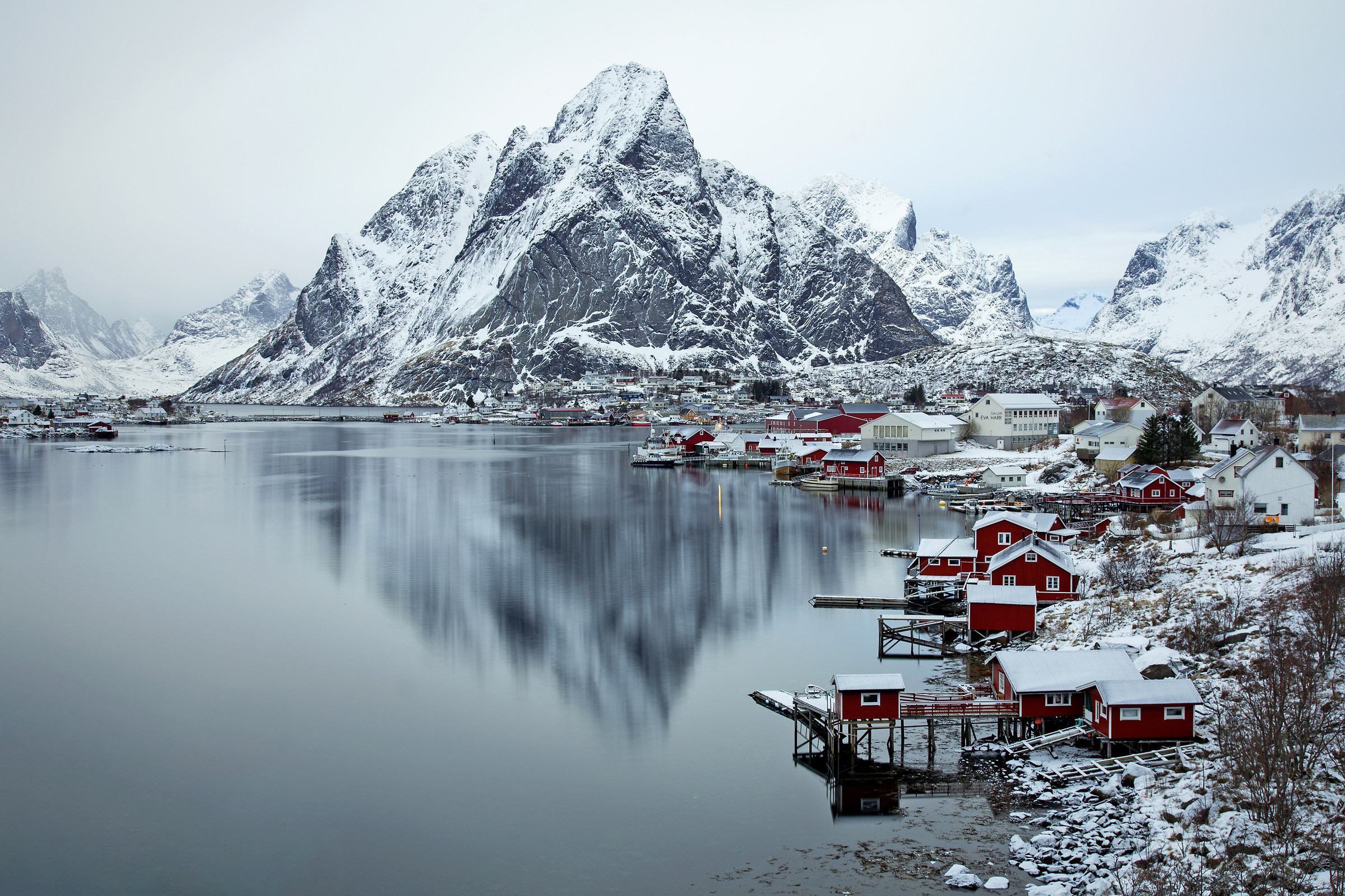 Reine