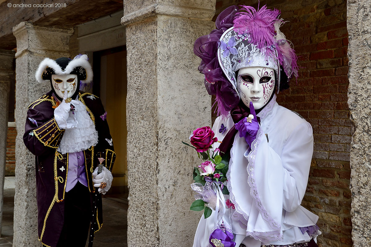 The maid of the rose with knight