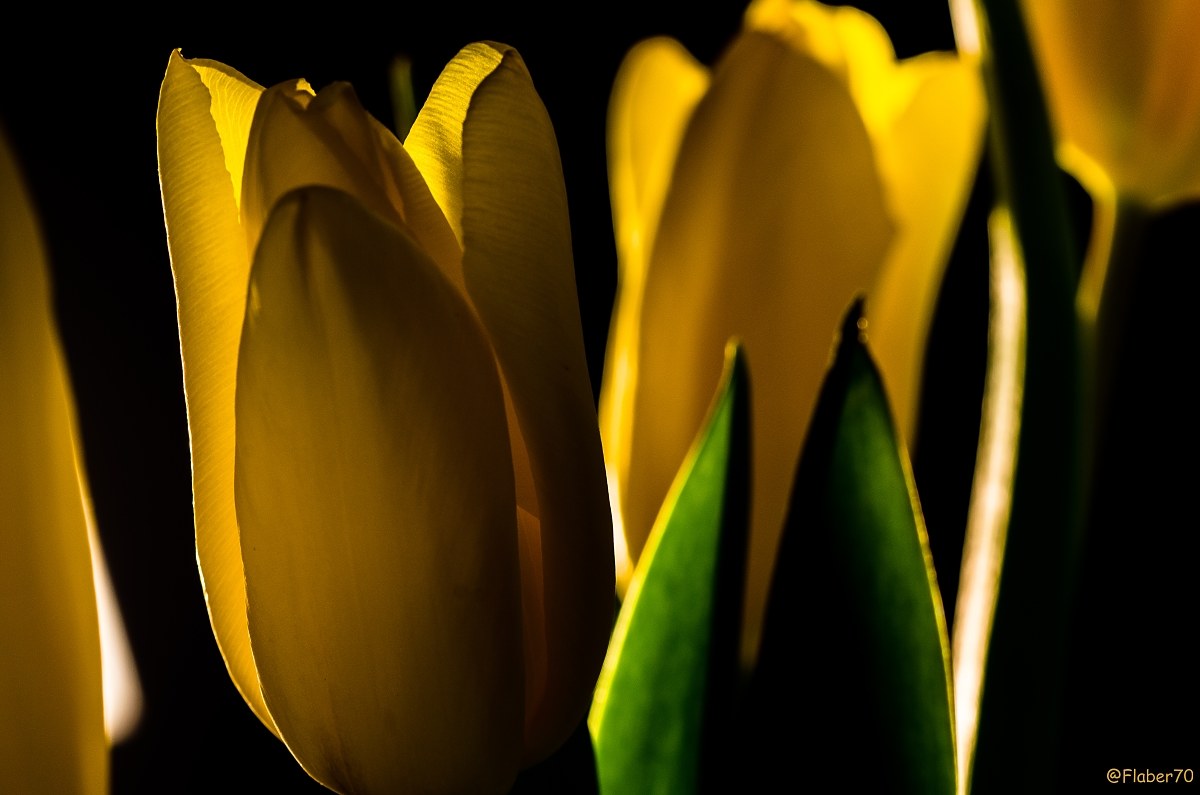 light, colors ... shapes