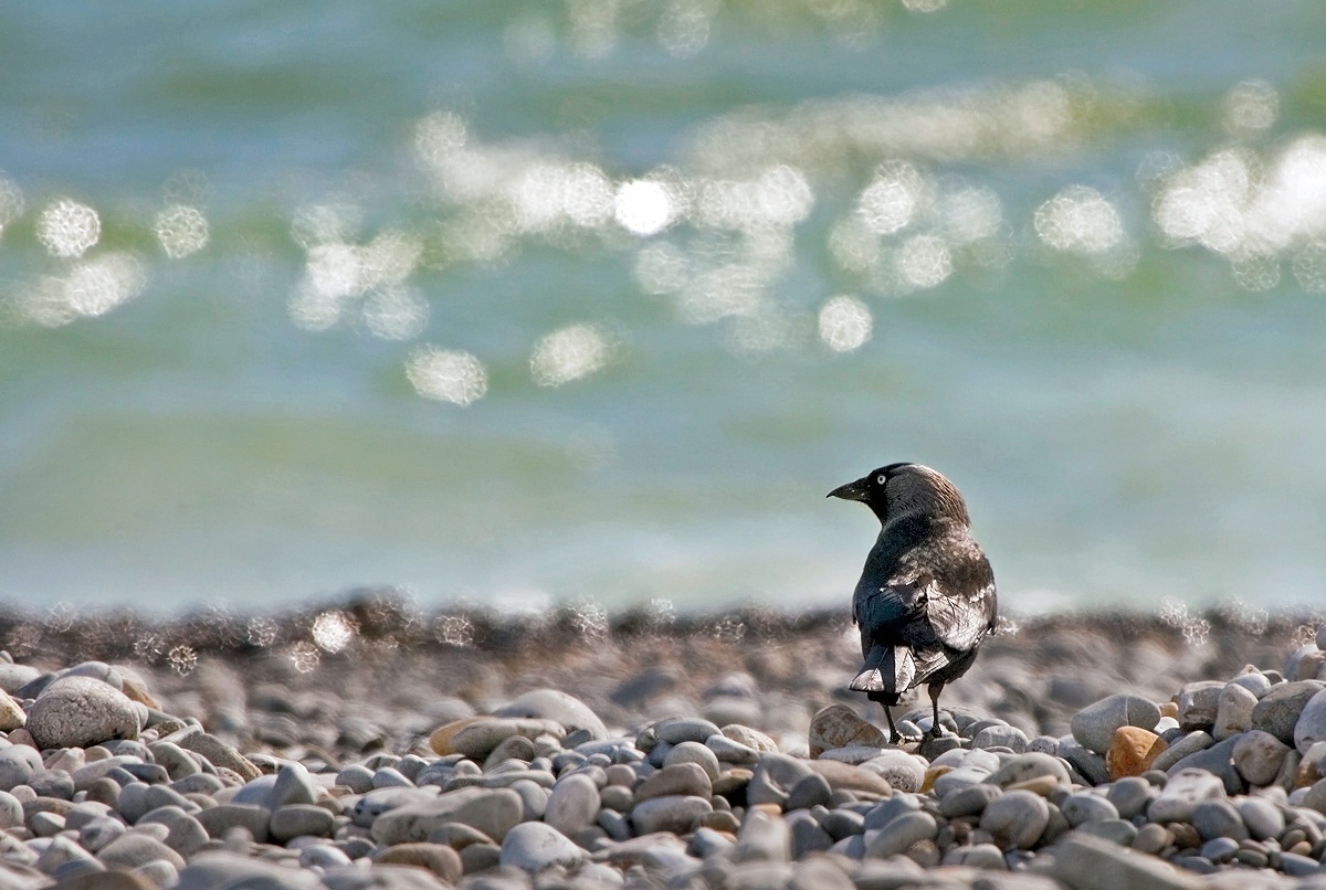 vorrei tanto navigare....