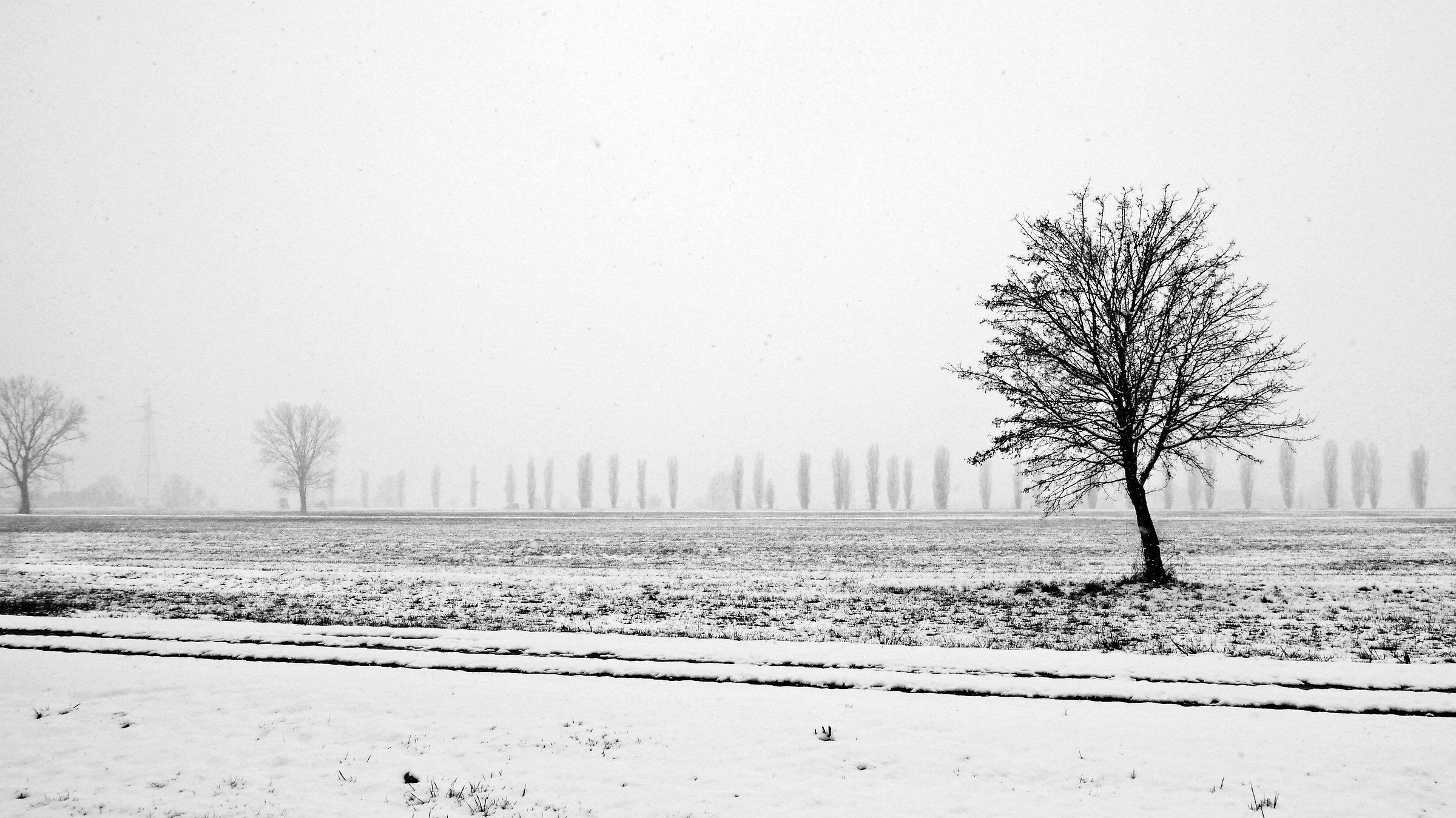 Campagna lombarda sotto la neve