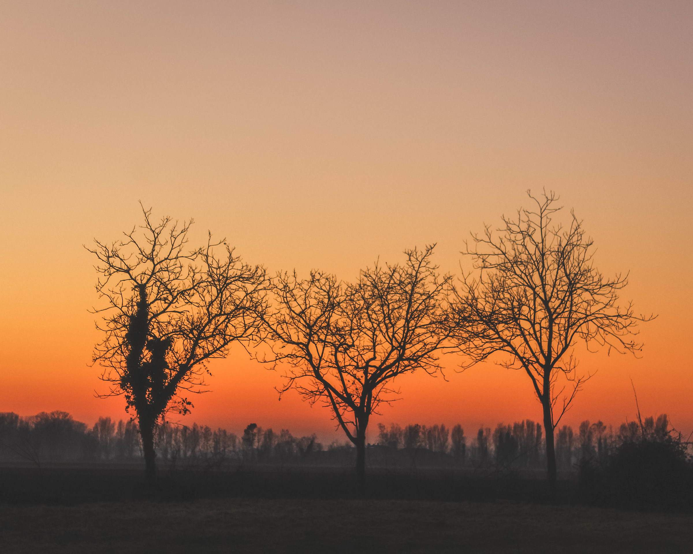 Melancholy Trees,l'inizio dell'autunno.