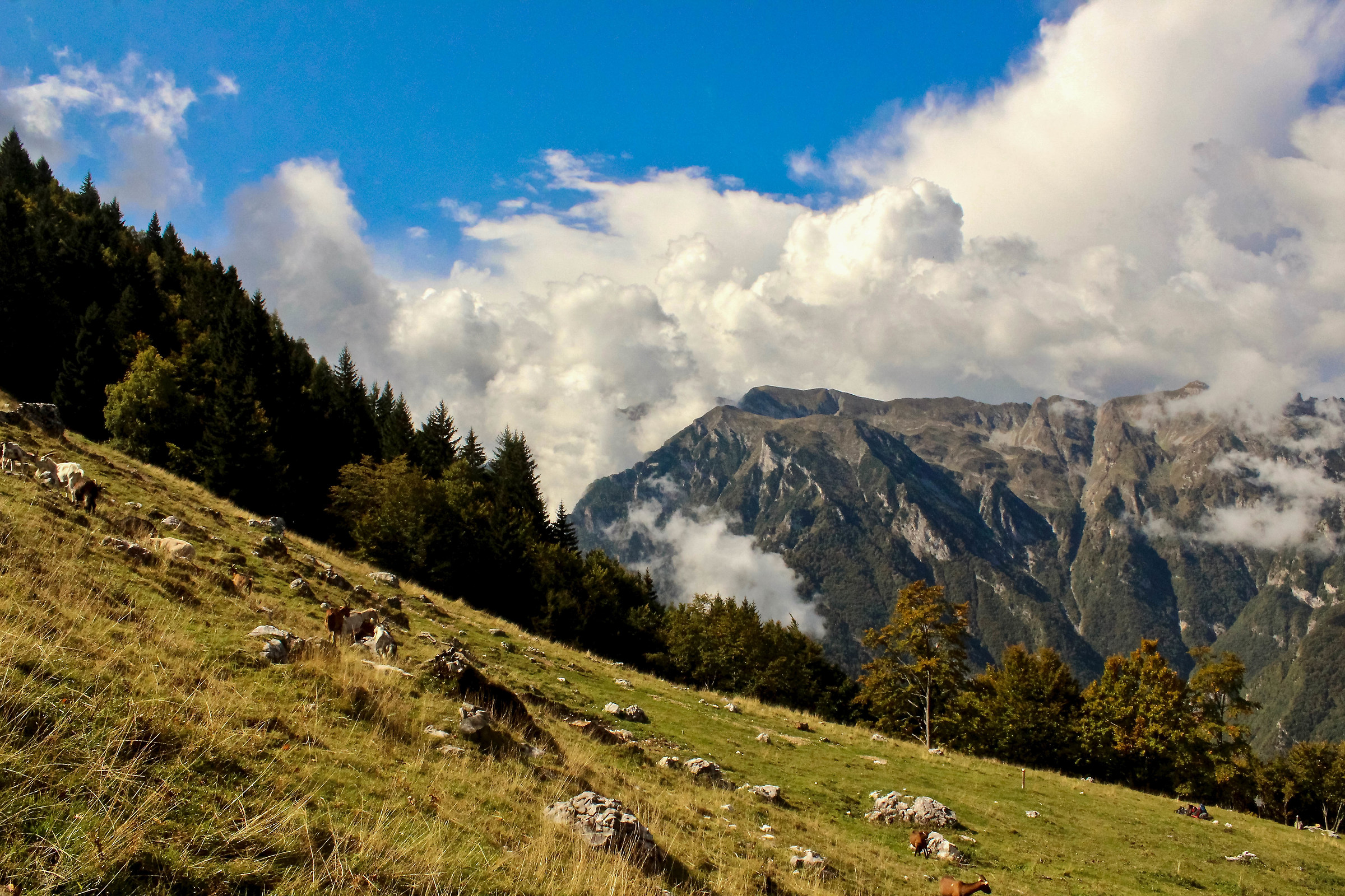 Passo del Ballino, vista dal rifugio.