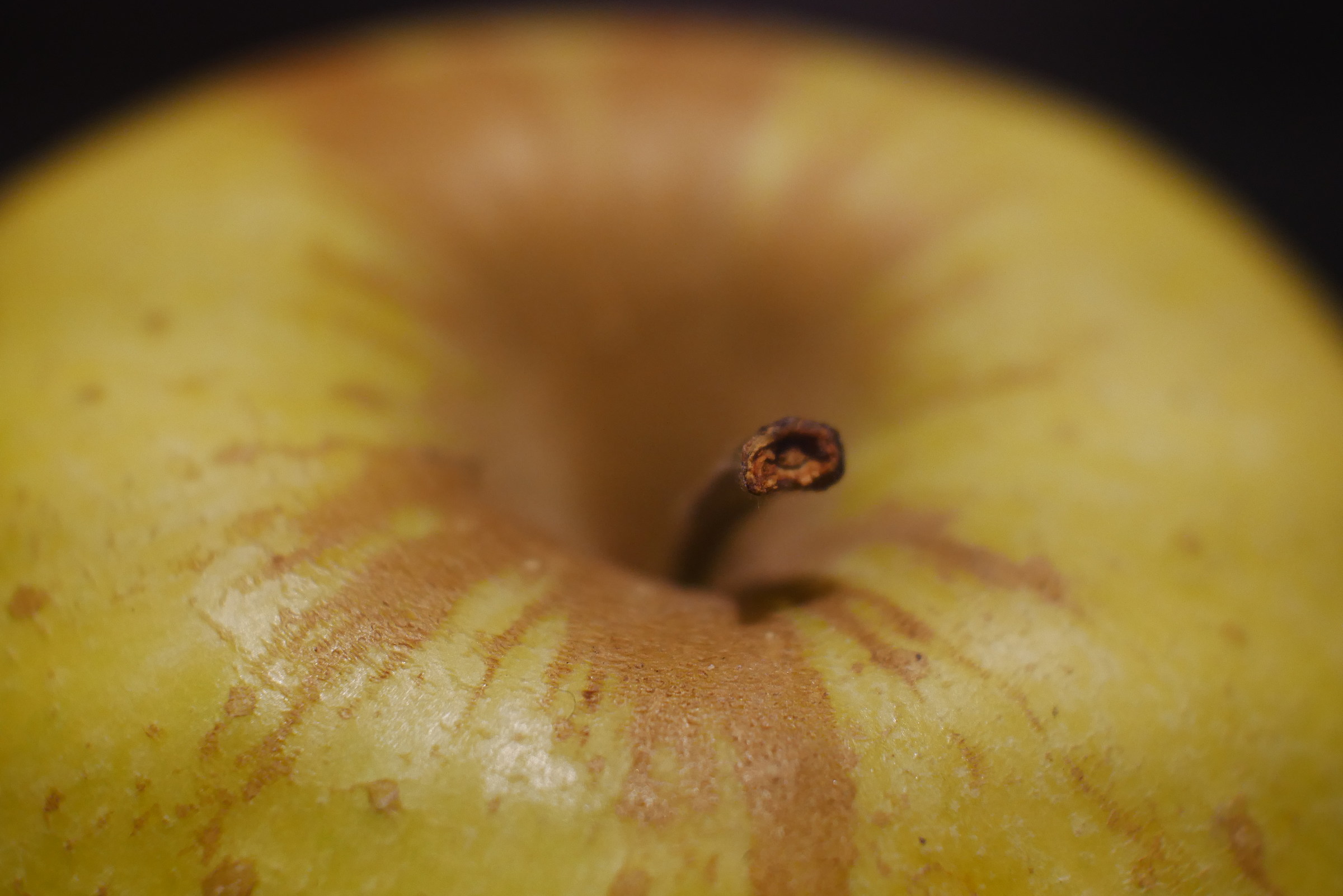 Mela scatti una foto?