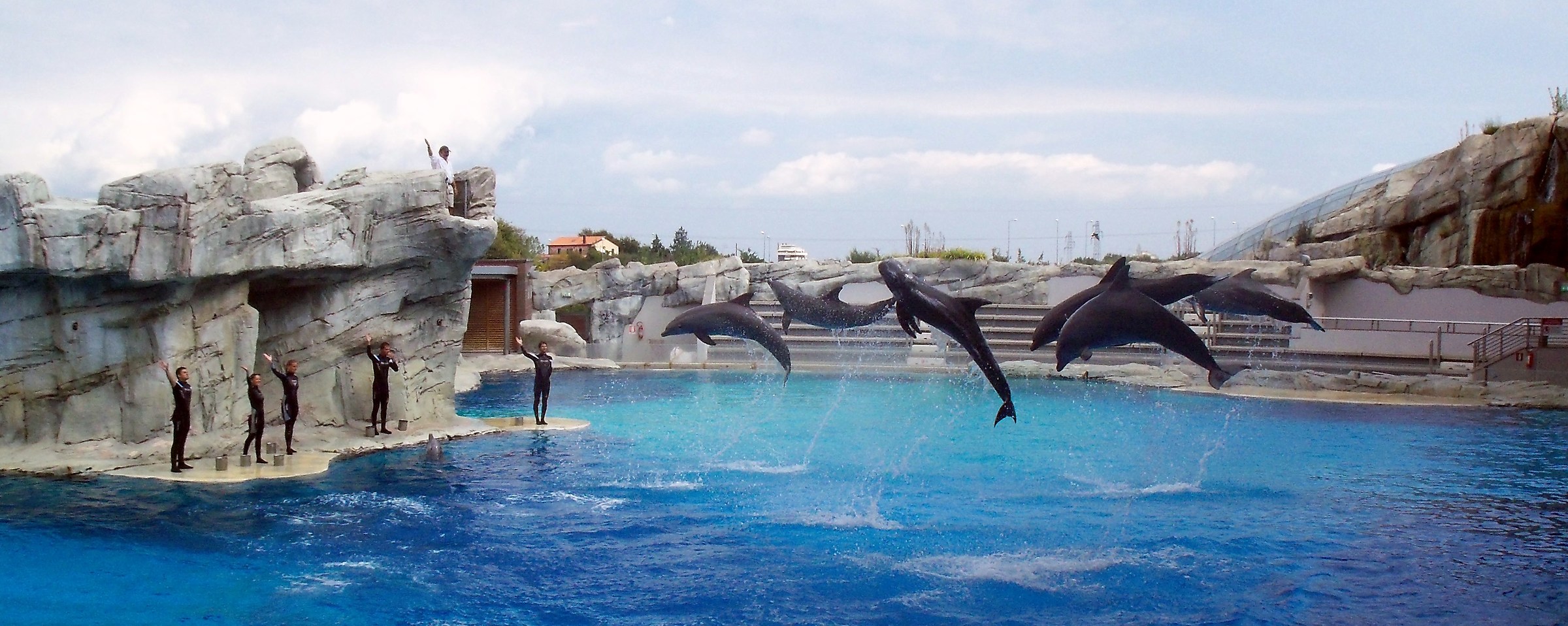 Shot stolen from the Dolphinarium