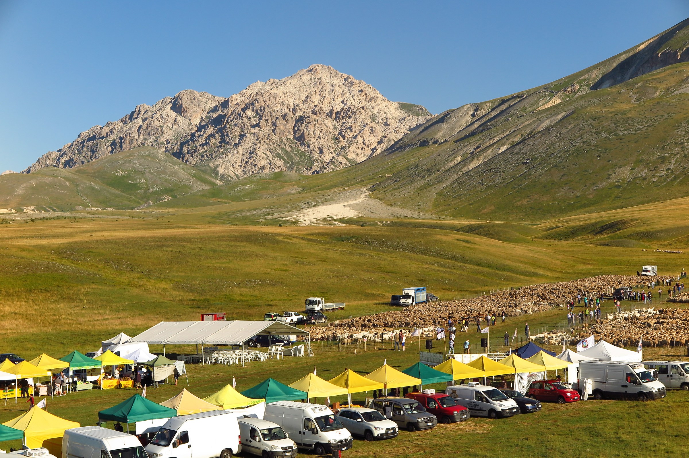 Ovine meeting at Campo Imperatore-