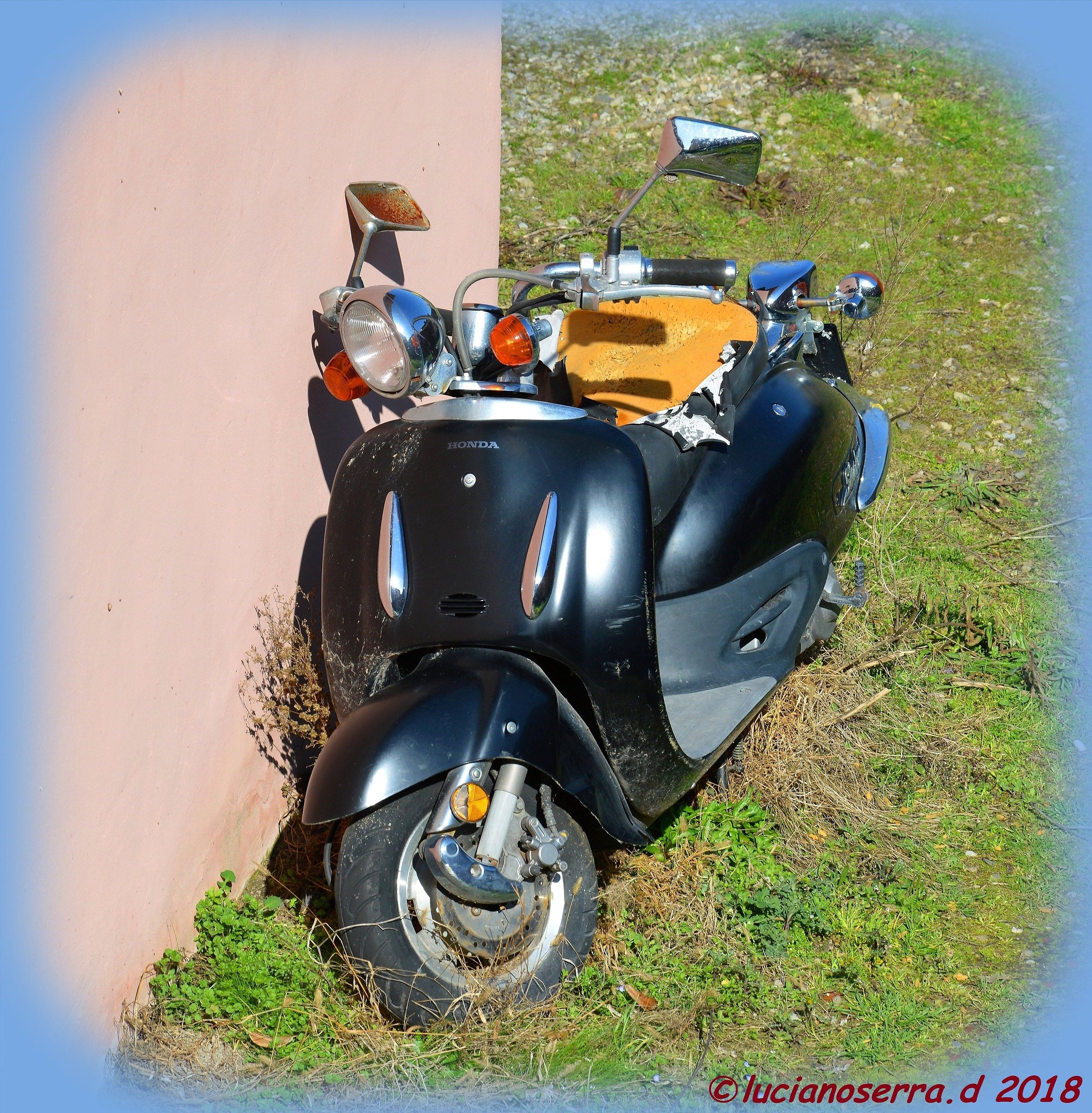 Finalmente un po' di sole... e di colore...