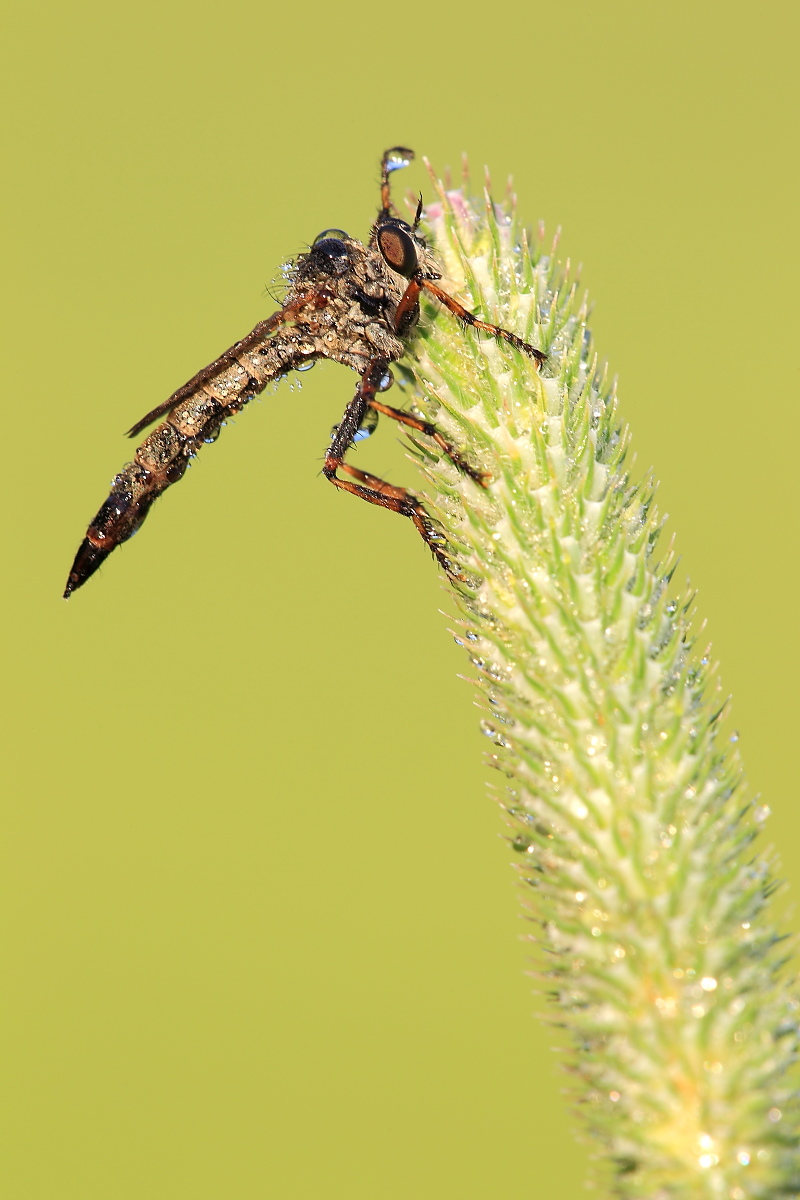 On top of the rocket