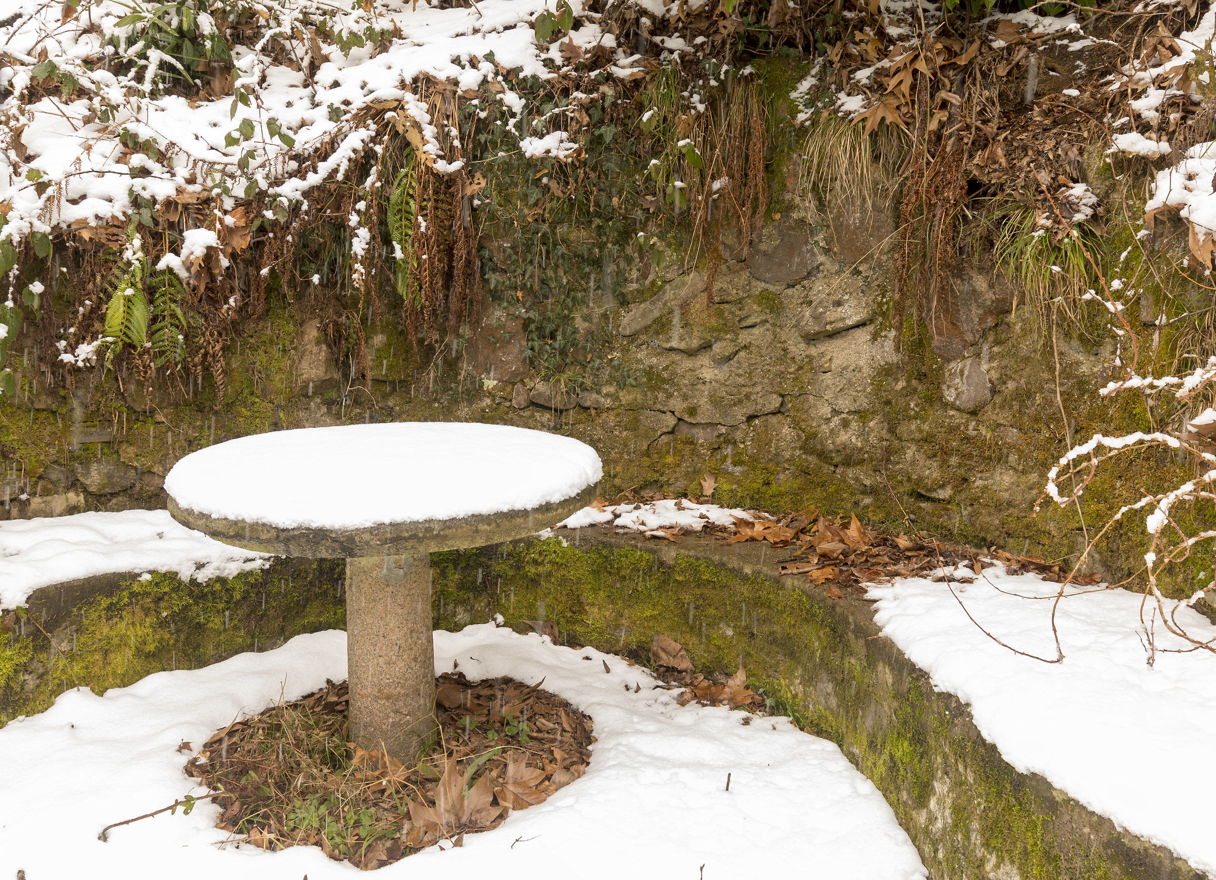 nevica oggi non si mangia