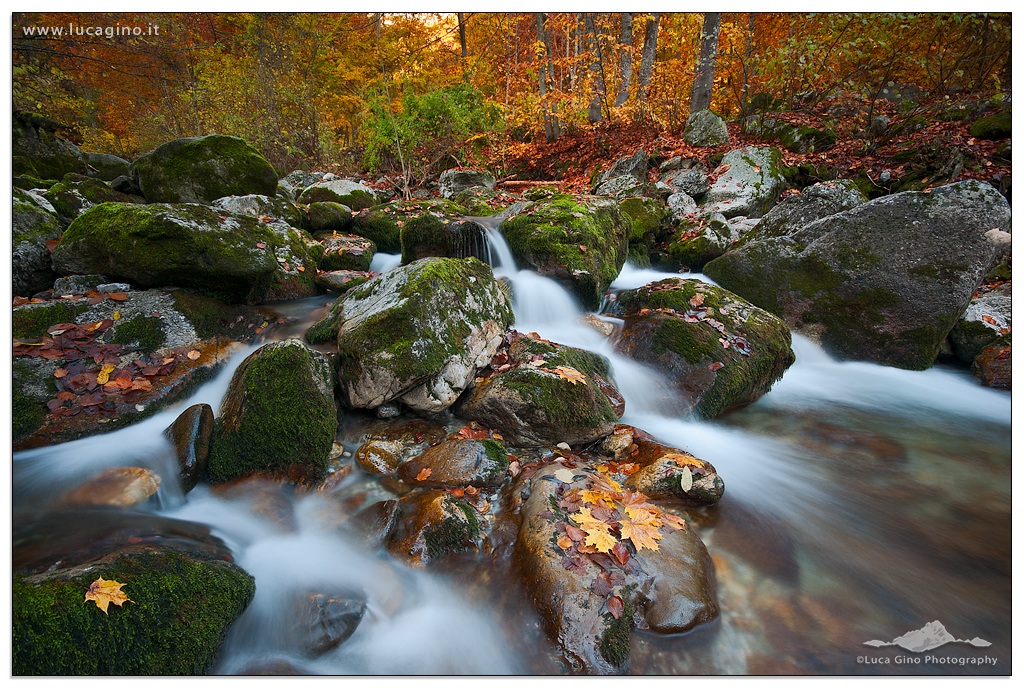 the stream in autumn